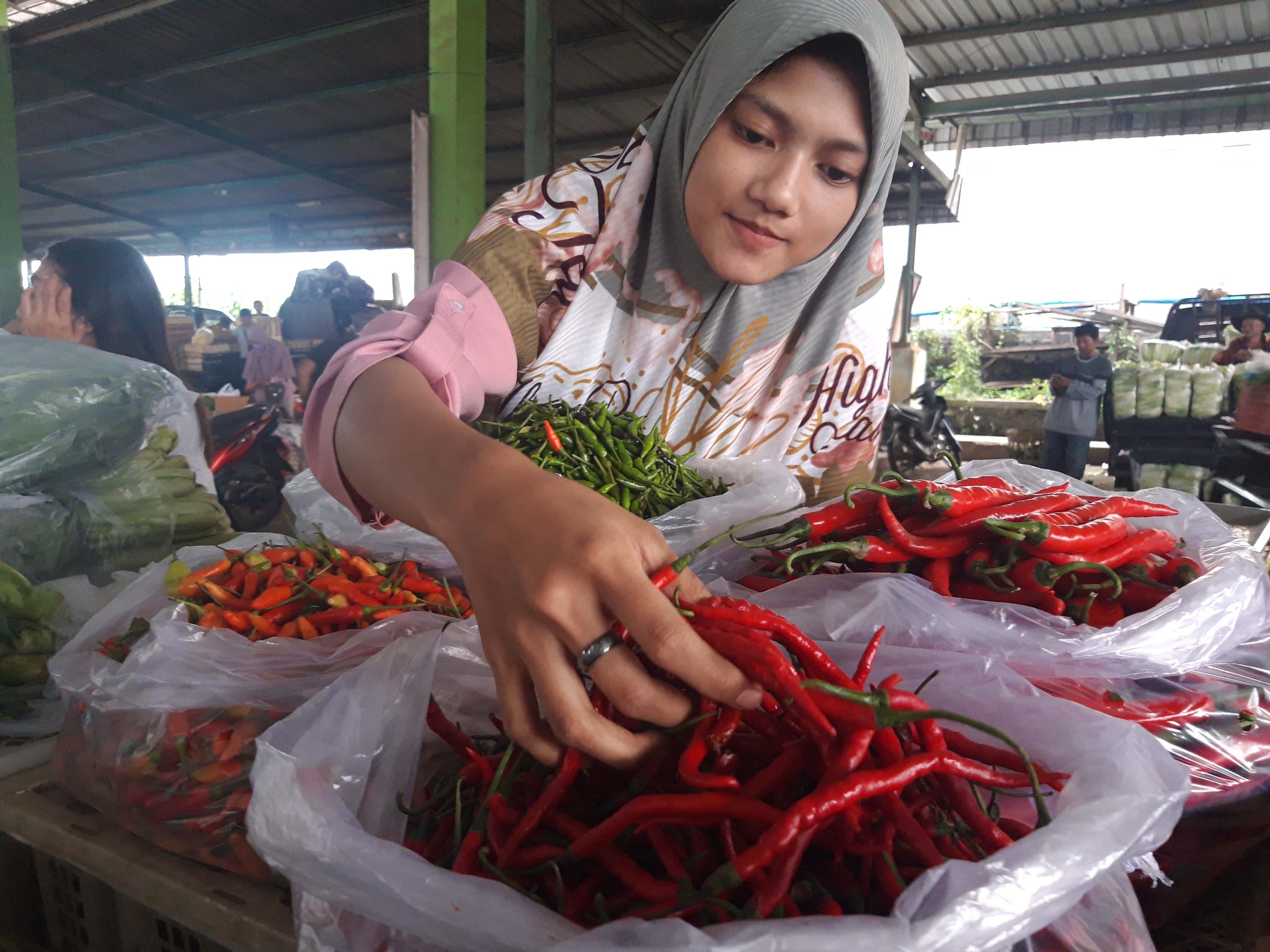 Harga telur mulai turun, kini harga cabai yang kembali merangkak naik di pasar tradisional pantura Jateng