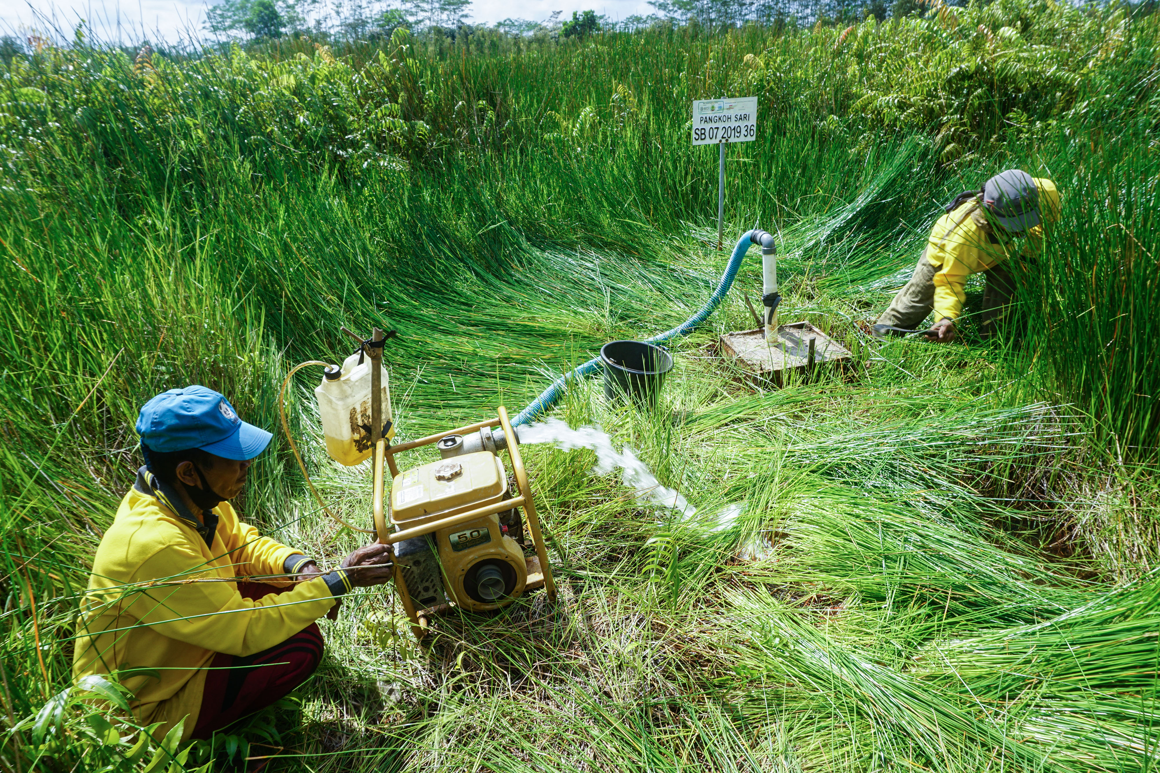 FOLU Net Sink 2030 Disosialisasikan di Kalimantan Tengah