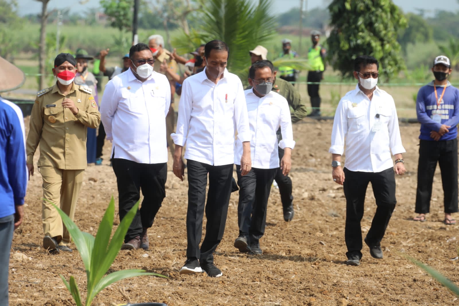 Presiden Joko Widodo bersama Menteri Pertanian Syahrul Yasin Limpo melakukan penanaman Kelapa Genjah