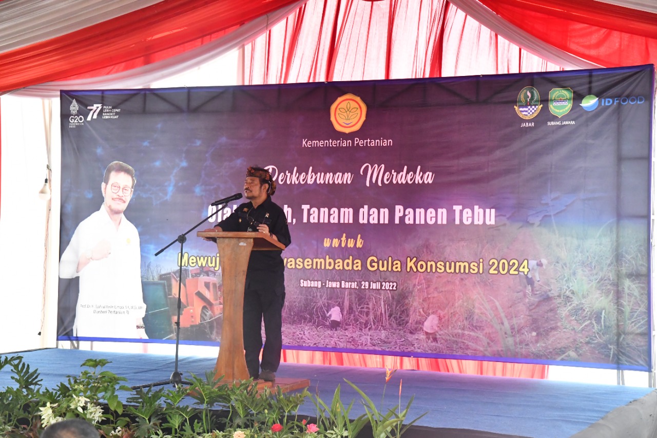 Mentan SYL dalam kegiatan olah tanah, tanam dan panen tebu di Desa Pasirbungur, Kecamatan Purwadadi, Kabupaten Subang