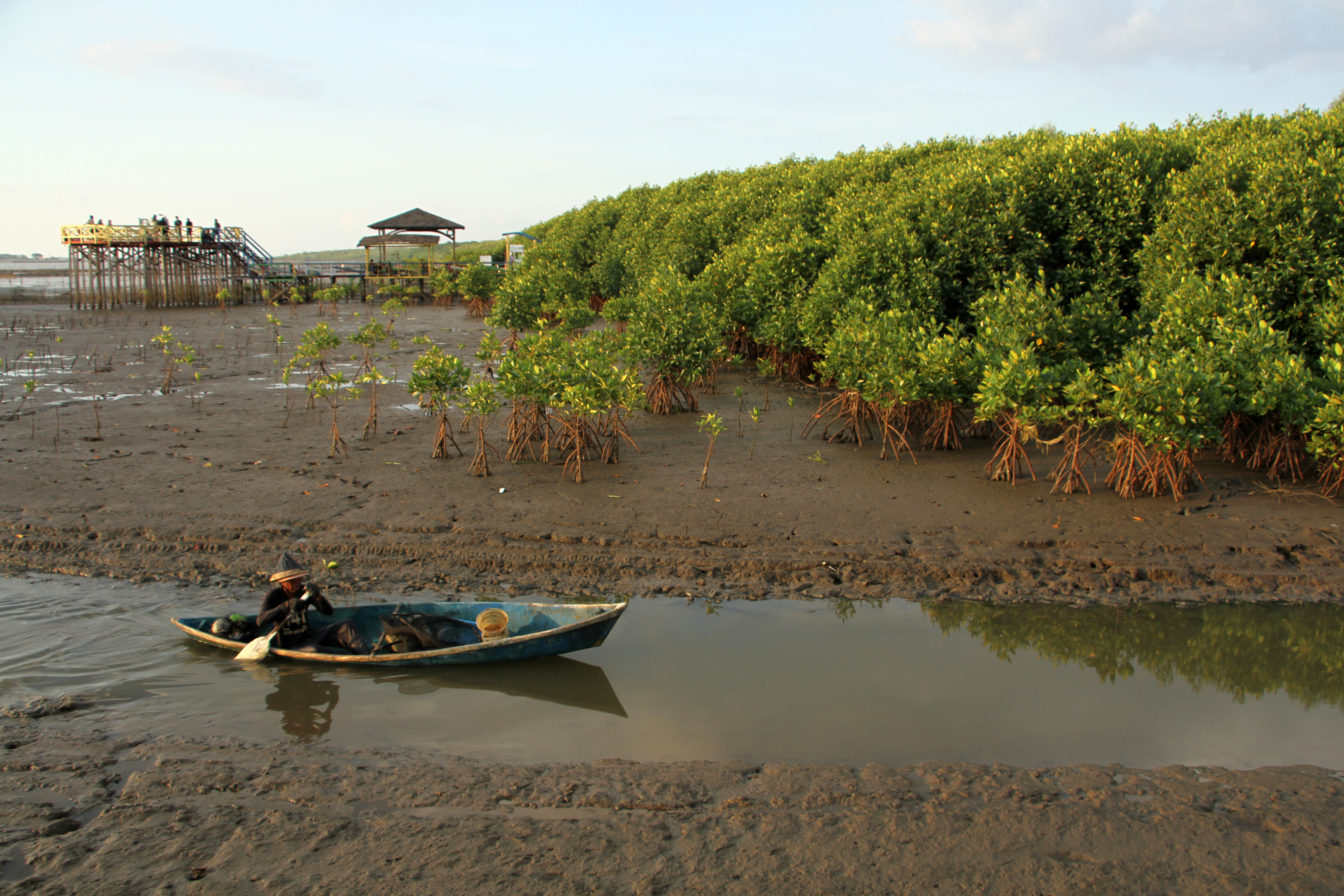 Nelayan menaiki perahu saat melintas di kawasan konservasi hutan mangrove Lantebung di Makassar