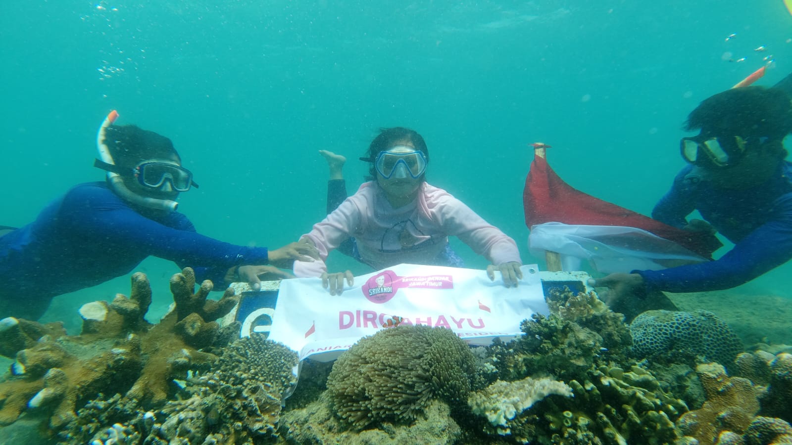 Relawan Srikandi Ganjar Jawa Timur menancapkan Sang Saka Merah Putih di dasar laut Gili Ketapang, Probolinggo, Rabu (17/8/2022)