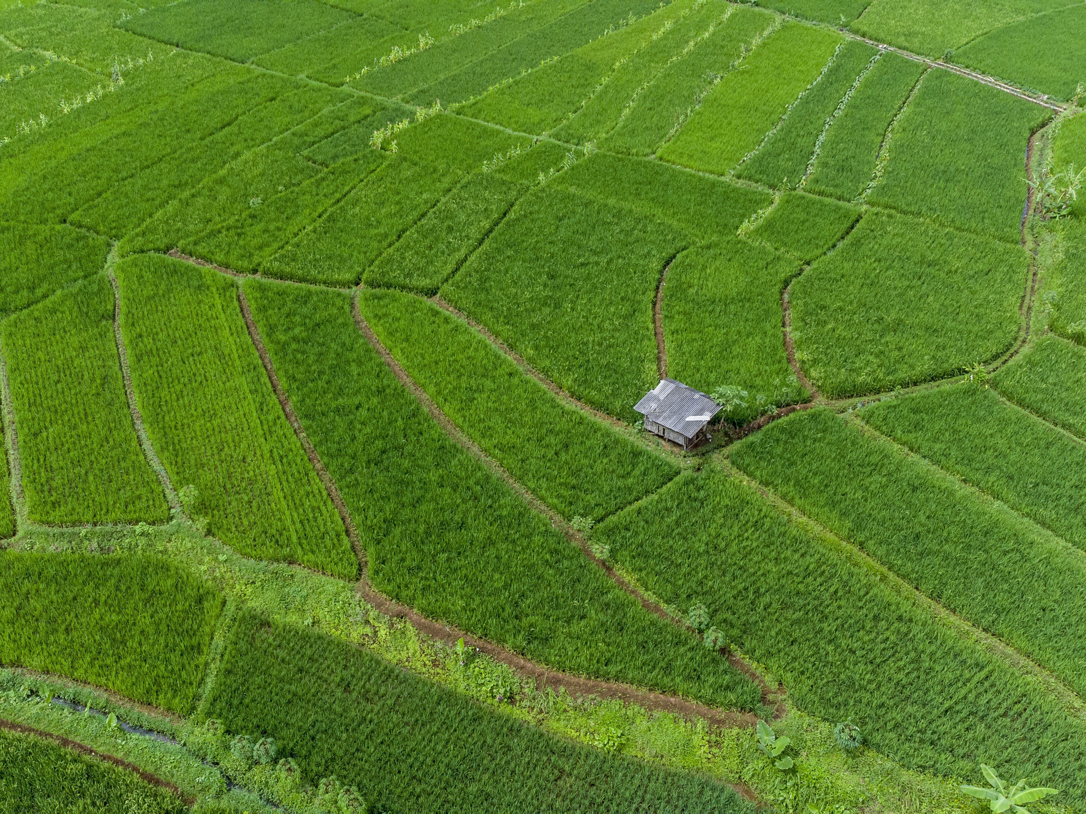 Foto udara kawasan pertanian di Desa Darmaraja, Kabupaten Ciamis, Jawa Barat, Minggu (17/7/2022).