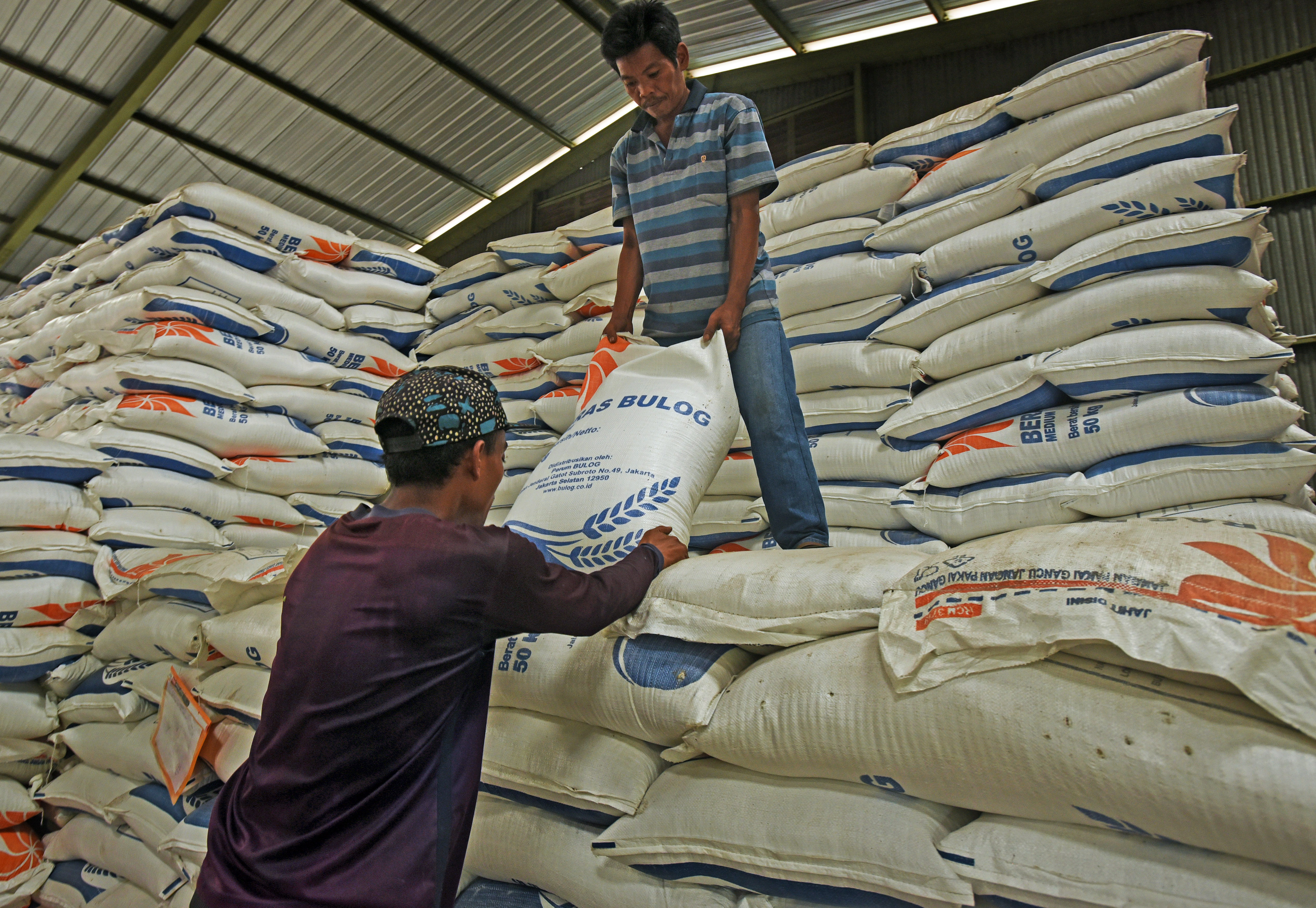 Stok Beras dan Jagung Melimpah, Bulog: Ketahanan Pangan Aman
