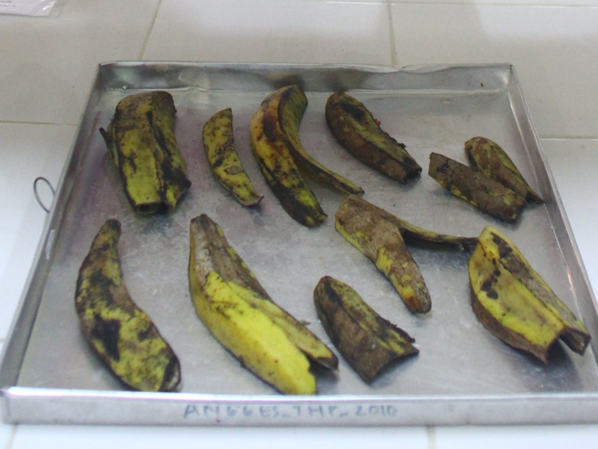 Kulit pisang.