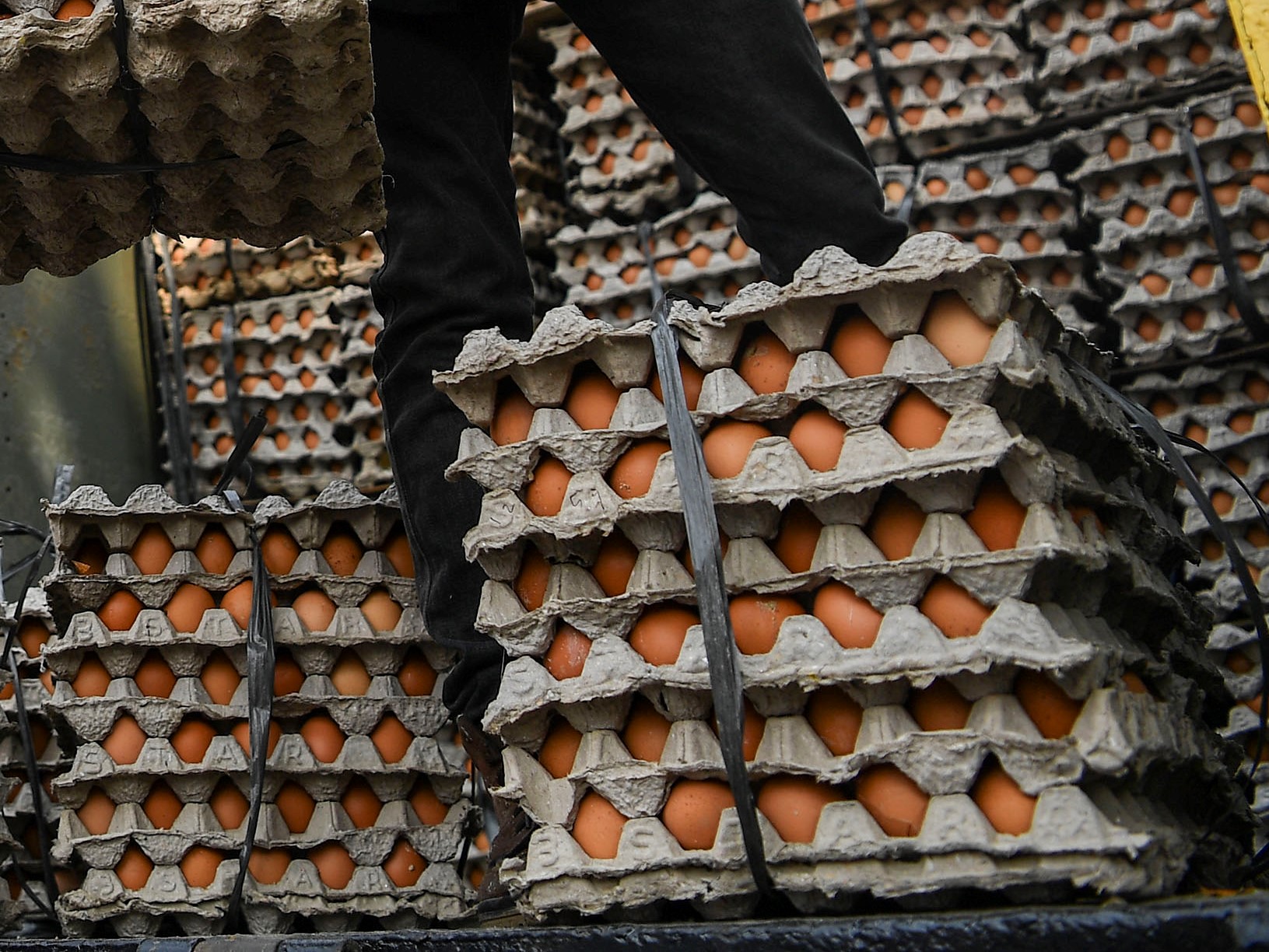 Harga Telur Ayam di Banyumas Melonjak 