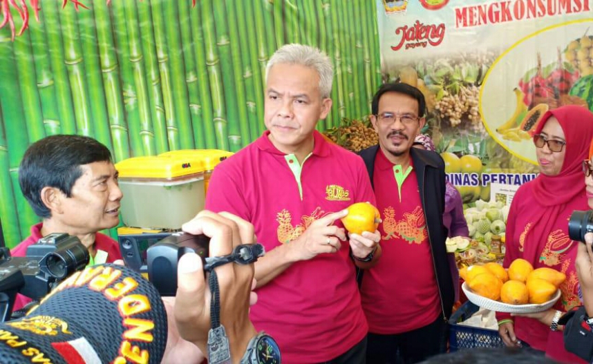 Guberbur Jateng Ganjar Pranowo menunjukkan hasil pertanian buah Alkesa saat kunjungan ke Boyolali, Jawa Tengah.