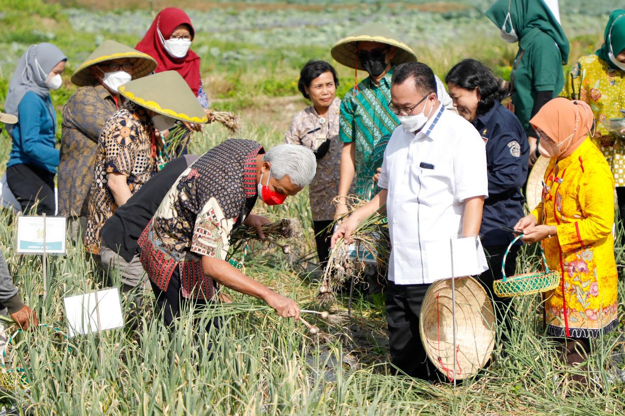 Gubernur Ganjar Pranowo di Learning Centre Bawang Putih, Desa Guci, Bumi Jawa, Tegal, Jateng, Jumat (12/8/2022).