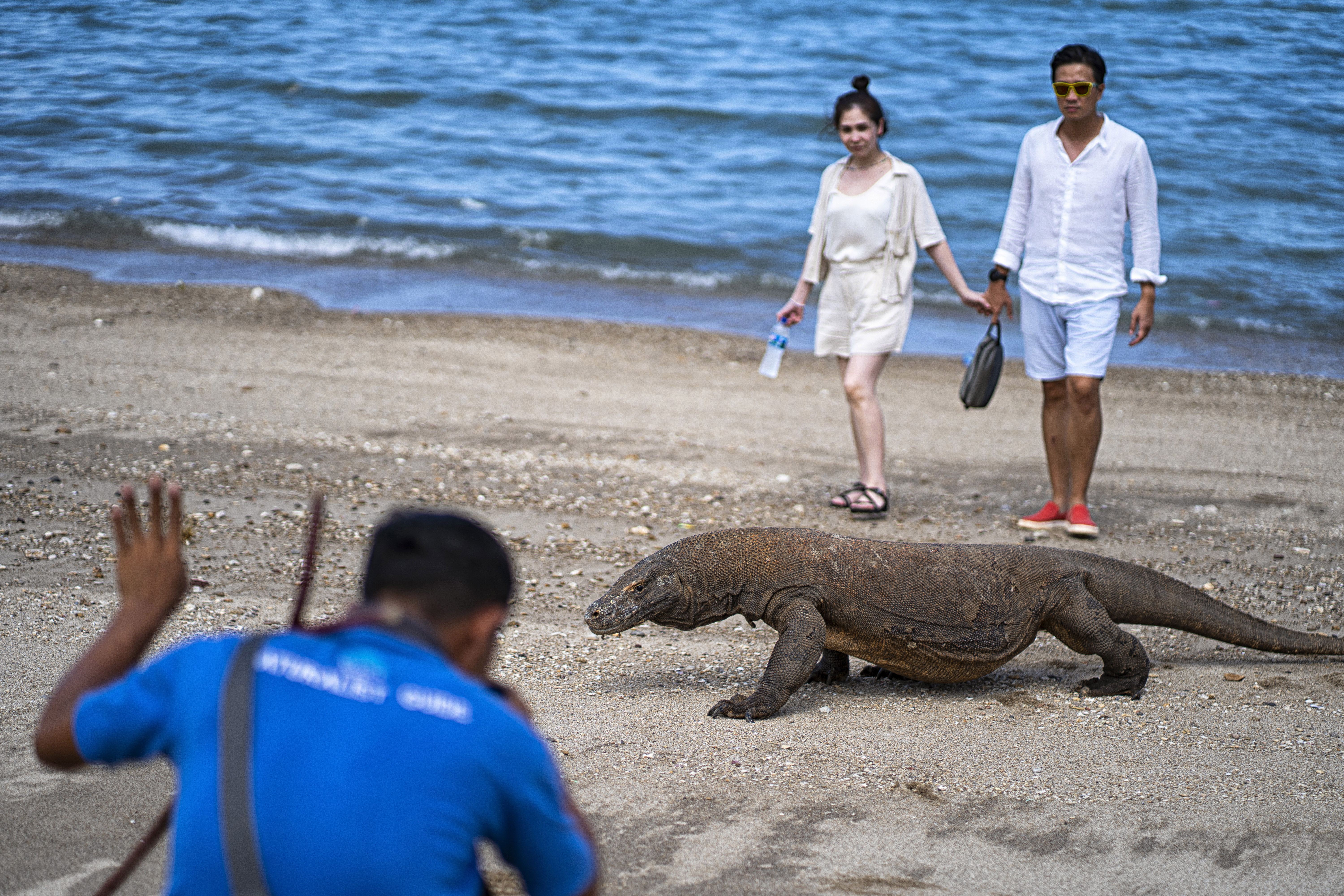 Turis berjalan di dekat komodo di Kabupaten Manggarai Barat, NTT.