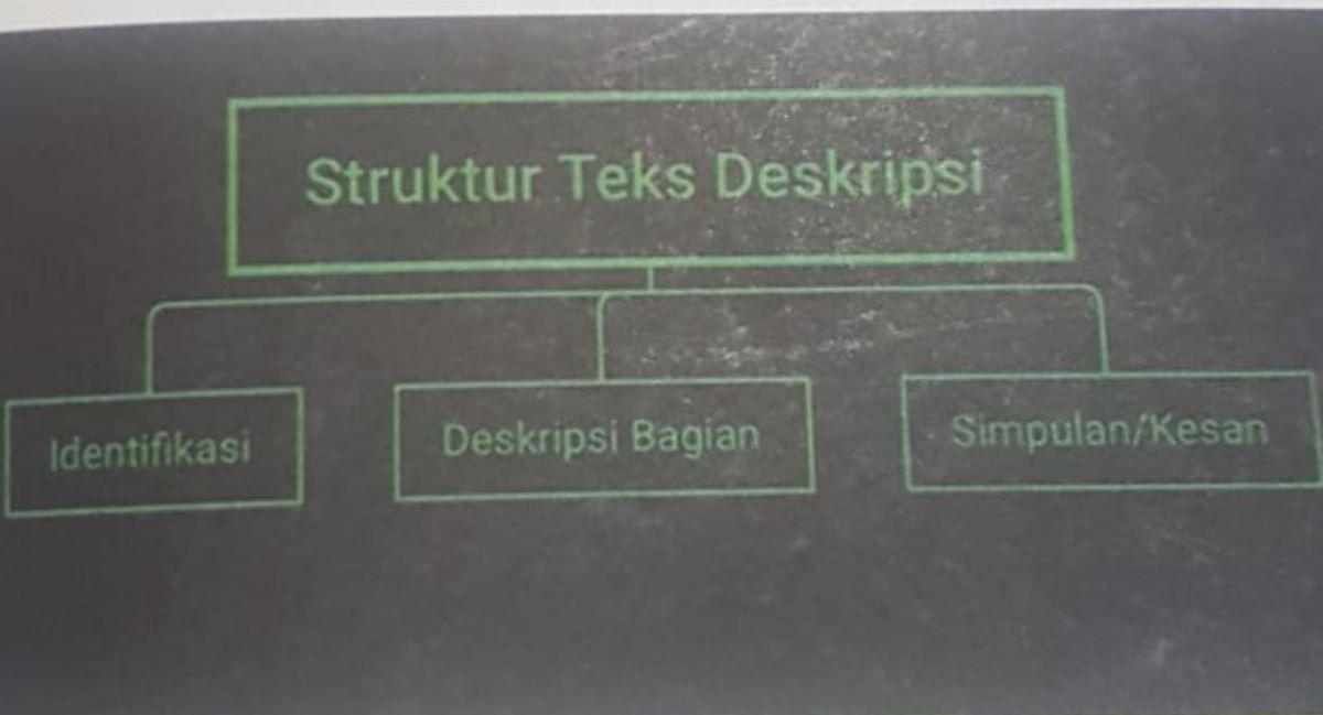Bagan struktur teks deskripsi.