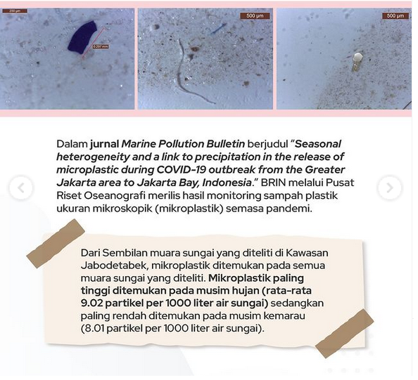 Hasil studi yang diterbitkan jurnal Marine Pollution Bulletin.