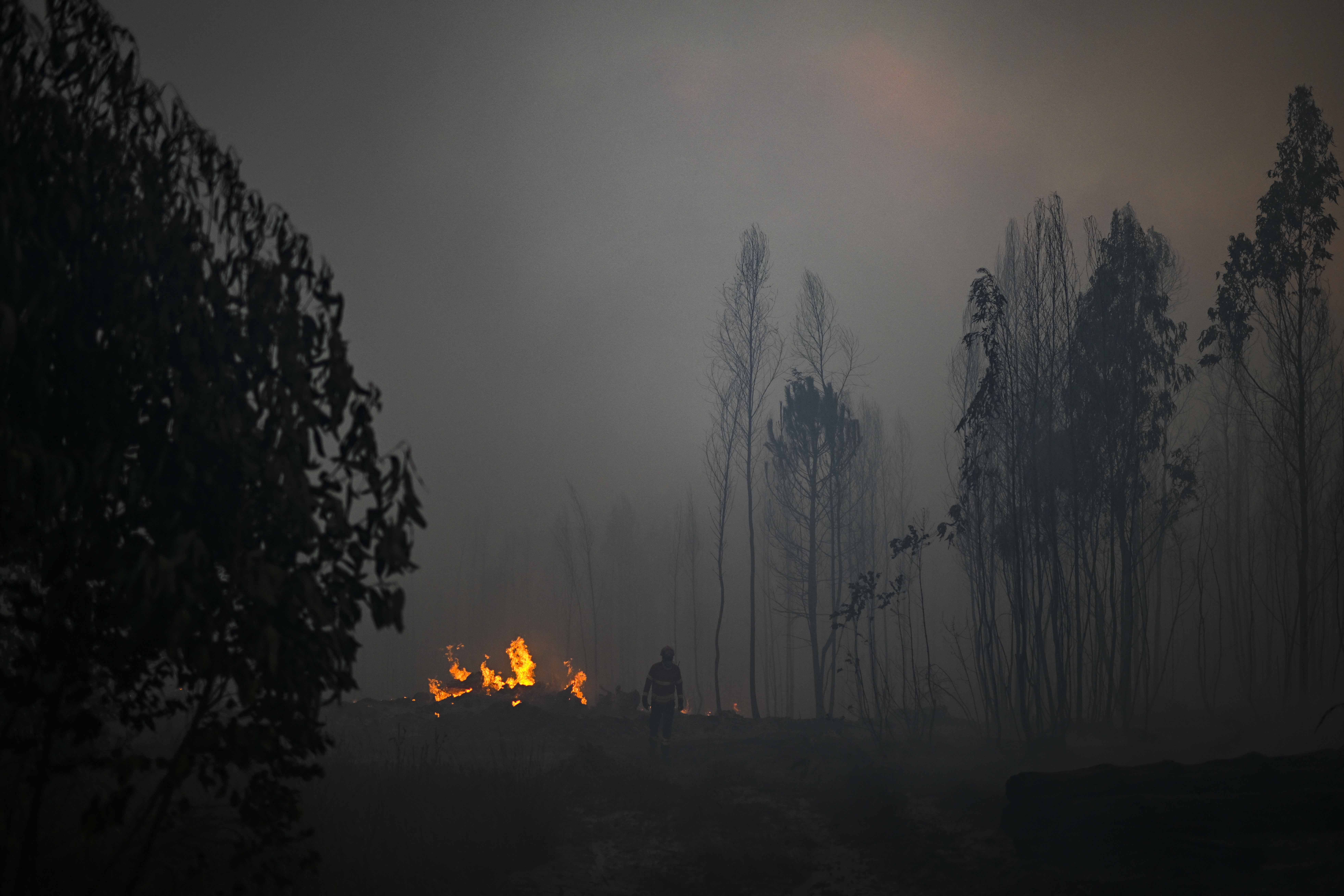 Kebakaran hutan di Portugal