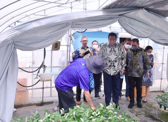 Gobel Pelajari Keunggulan Pertanian Hokota