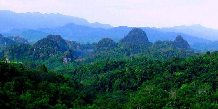 Foto udara Taman Hutan Raya Bukit Barisan, Sumatra Utara.
