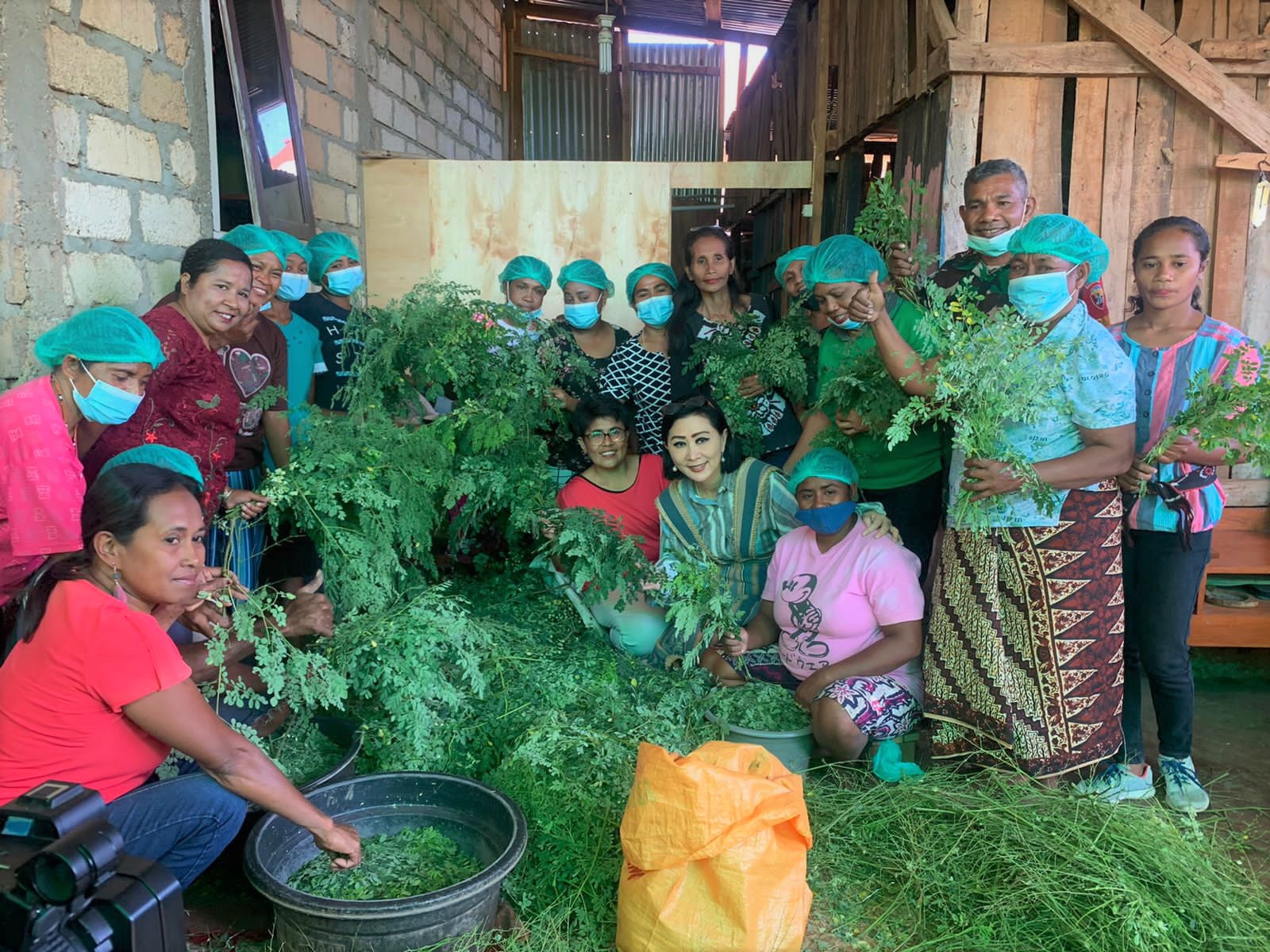 Ketua Dekranasda NTT Julie Laiskodat (jongkok dua kanan)bersama petani yang mempersiapkan daun kelor basah untuk dijual ke sentra produksi. 