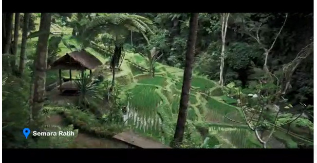 Suasana Desa Wisata Tarodi, Kecamatan Tegalalang Kabupaten Gianyar, Bali 