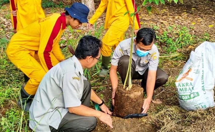 Selain SMK PPN Banjarbaru, penanaman bibit pohon dilakukan serentak oleh UPT Kementan di seluruh Indonesia sesuai instruksi Mentan
