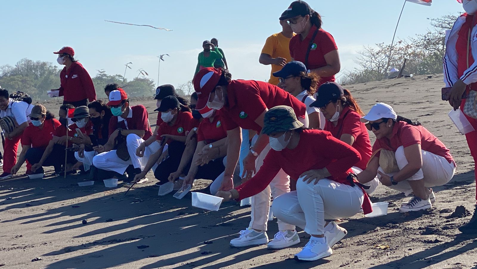 Perayaan HUT ke 77 RI: Pelepasan tukik TP PKK Kota Denpasar dan Dharma Wanita Persatuan (DWP) Kota Denpasar, Rabu (17/8/2022).