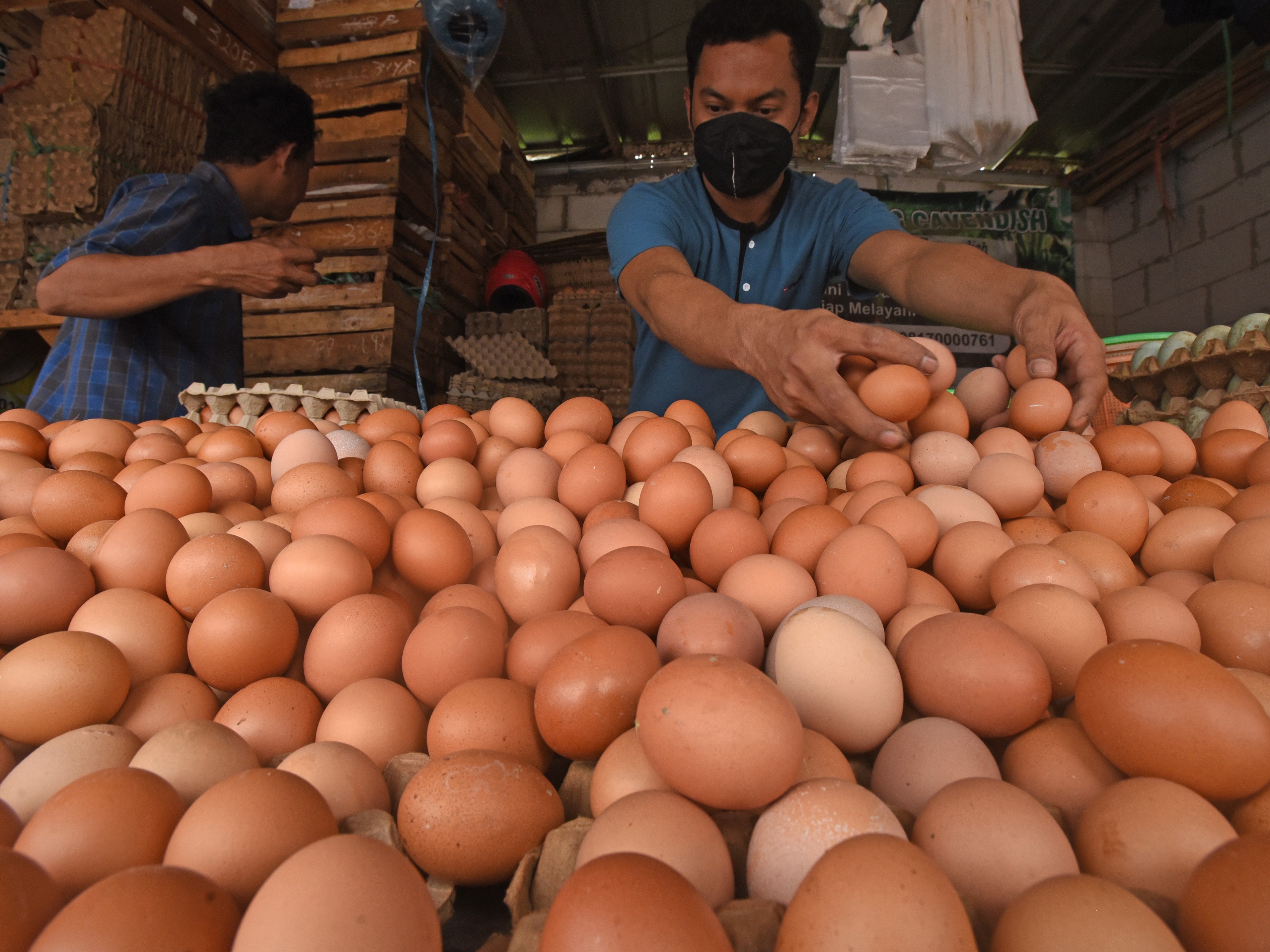 Pedagang memilih telur ayam di Pasar Lama Kota Serang, Banten, Senin (22/8/2022).