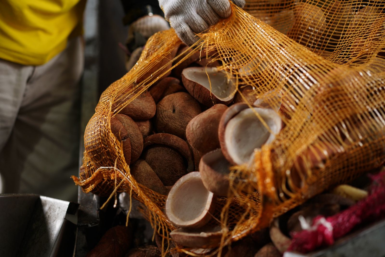 Ilustrasi pengolahan kelapa menjadi kopra yang dilakukan IPPE