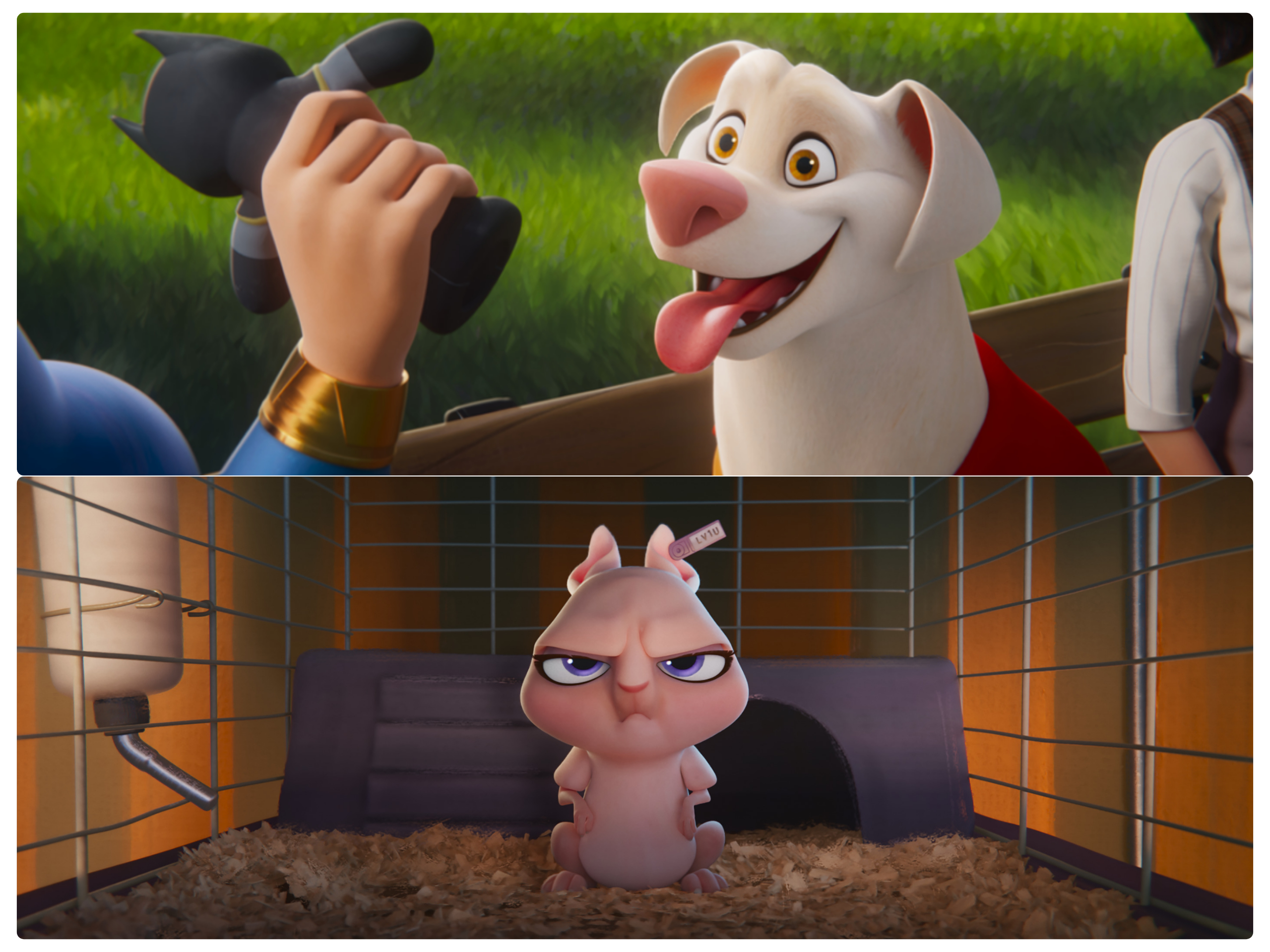 Adegan di film DC League of Super Pets. 