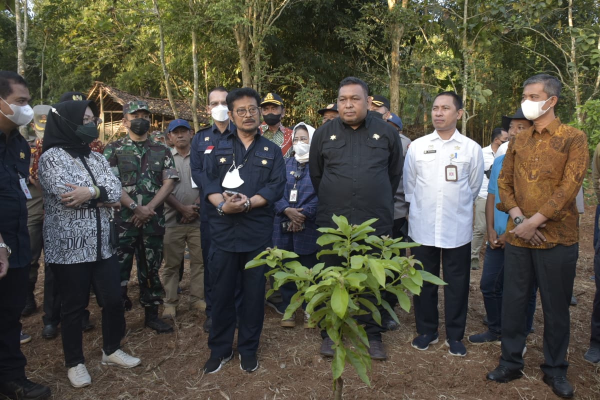 Mentan SYL melakukan peninjauan kesiapan lokasi penanaman kelapa genjah di di Desa Sanggang, Kecamatan Bulu, Sukoharjo, Jateng, Jumat (5/8).