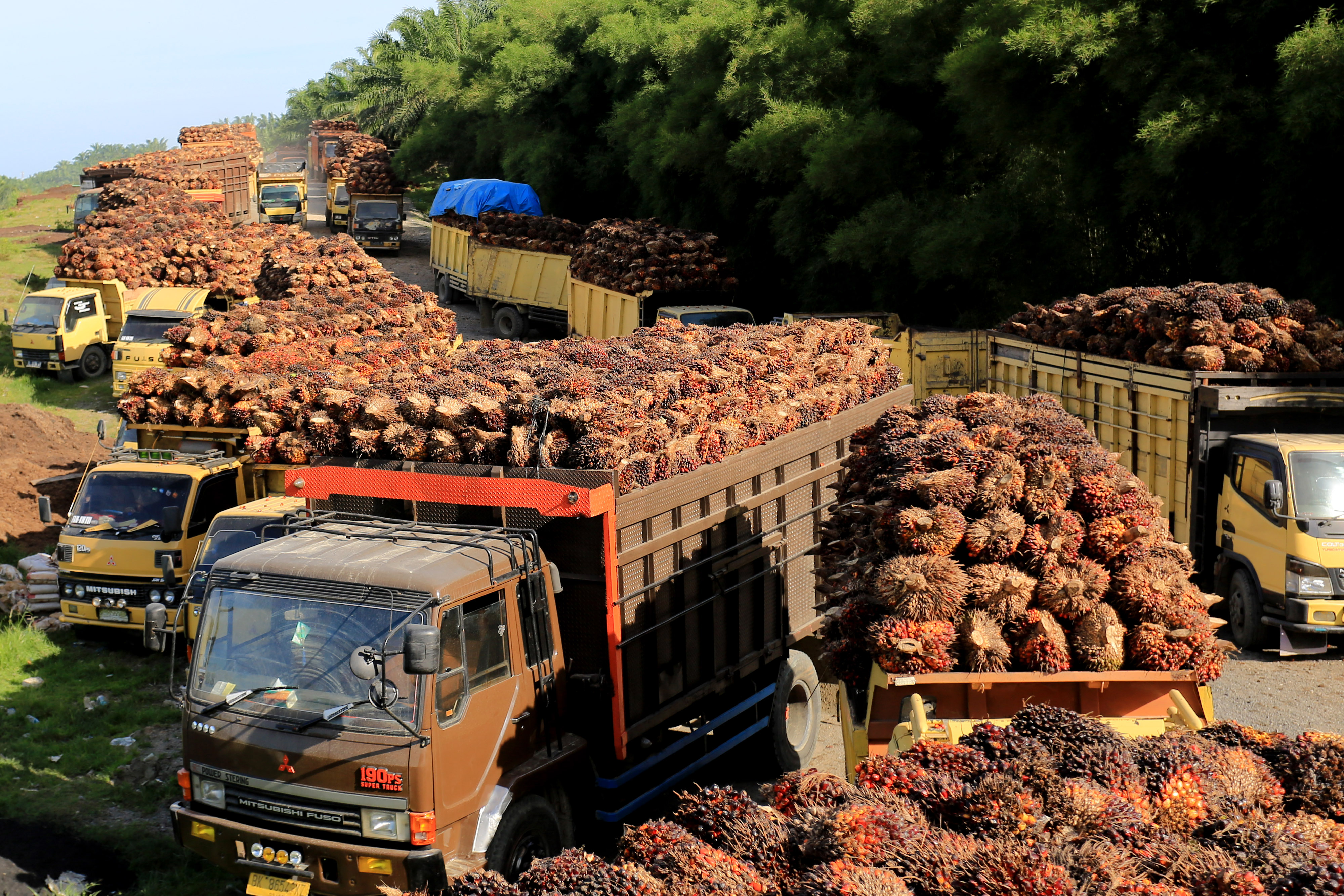 Sejumlah truk pengangkut tanda buah segar (TBS) kelapa sawit mengantre untuk pembongkaran.