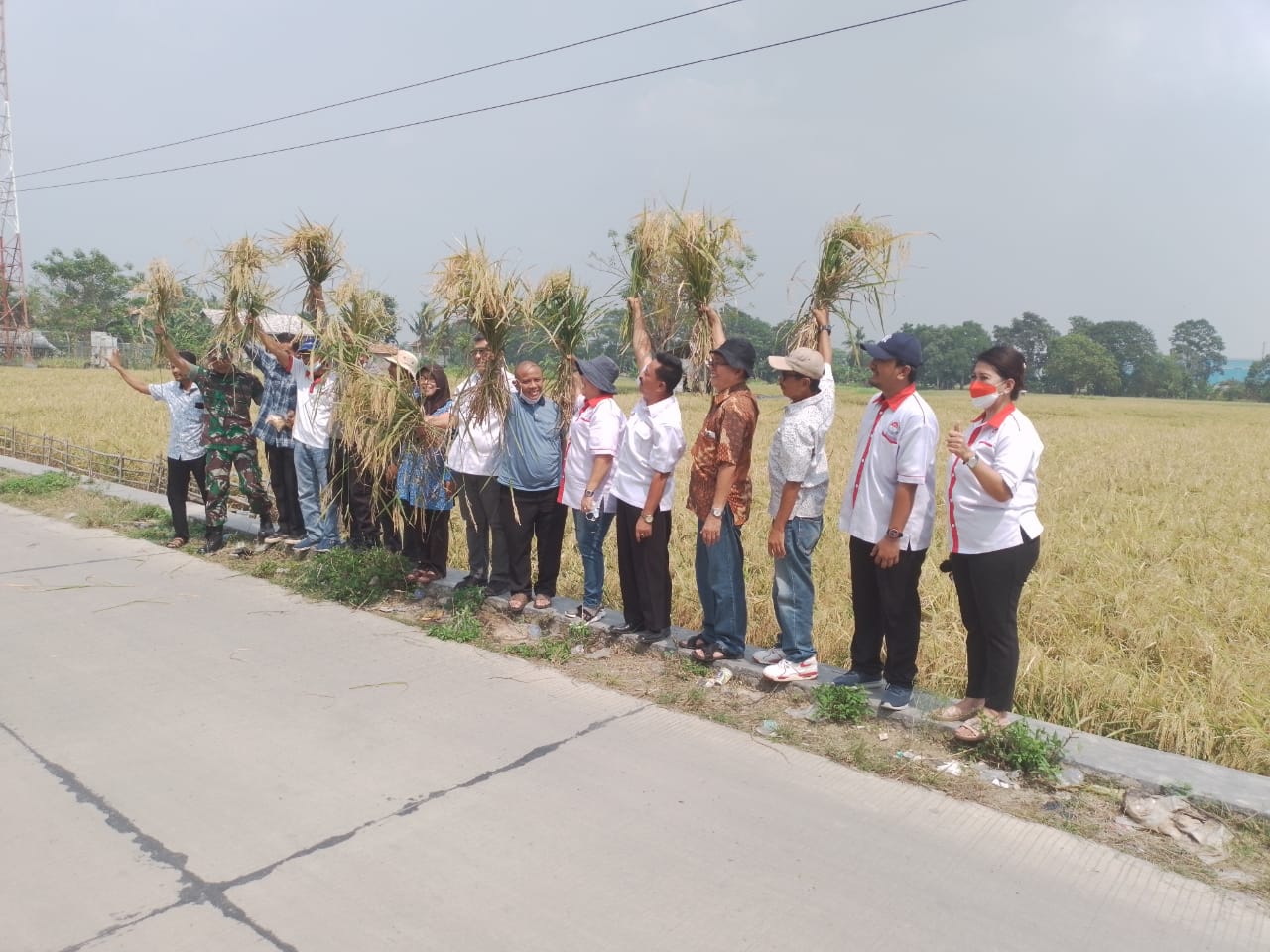 Masyarakat Indonesia Maju (MIM) dan Gabungan Kelompok Tani Sangkar Makmur, melakukan panen raya di Desa Jeruk Tipis, Serang, Banten.