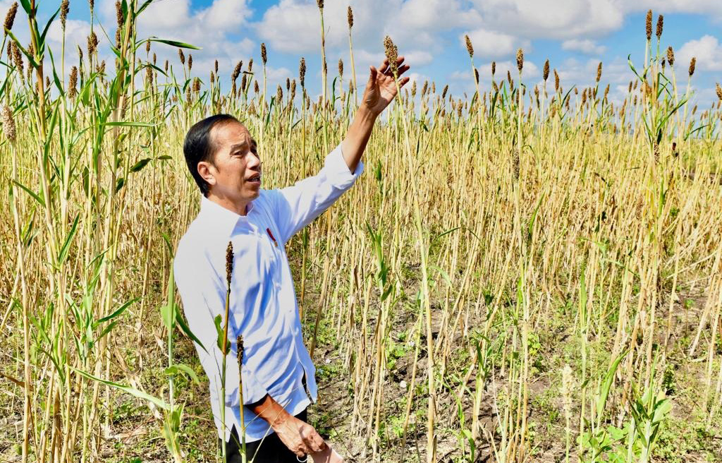 Presiden: Menjaga Pasokan Pangan Sebuah Kewajiban