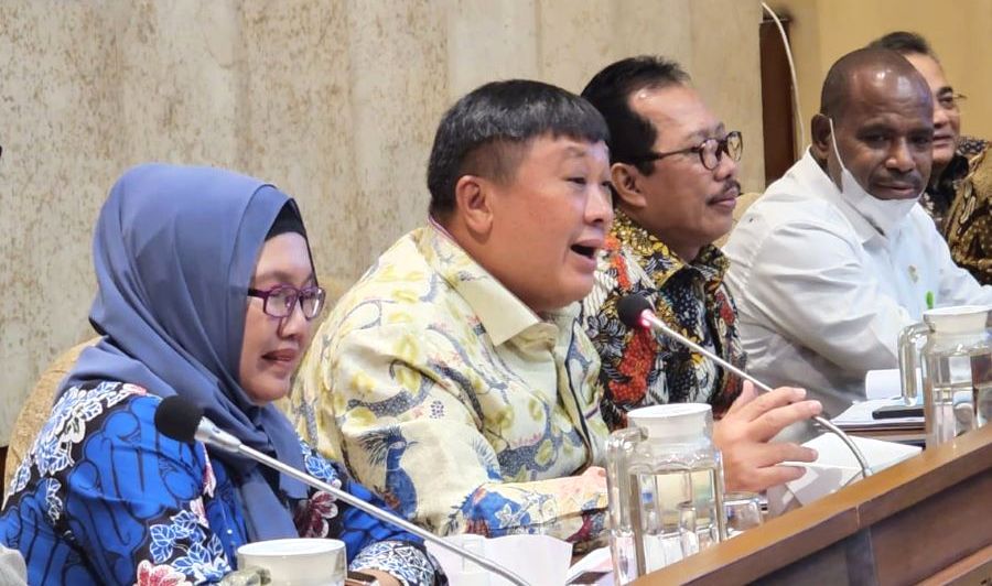 Legislator NasDem Rico Sia (dua dari kiri) sedang berbicara di rapat kerja dengan Mendagri.