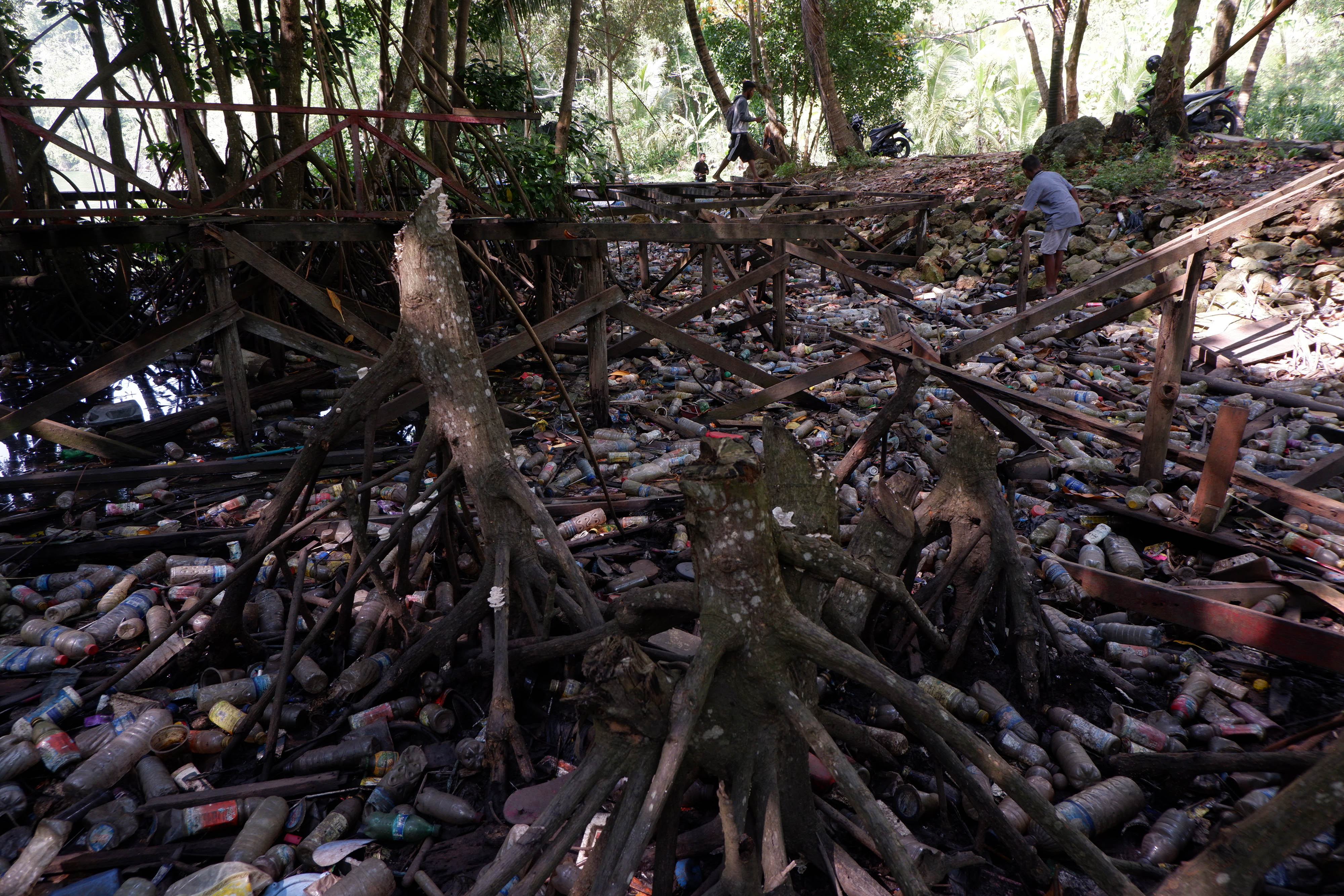 Kawasan wisata Mangrove yang terbengkalai di Abepura, Papua.