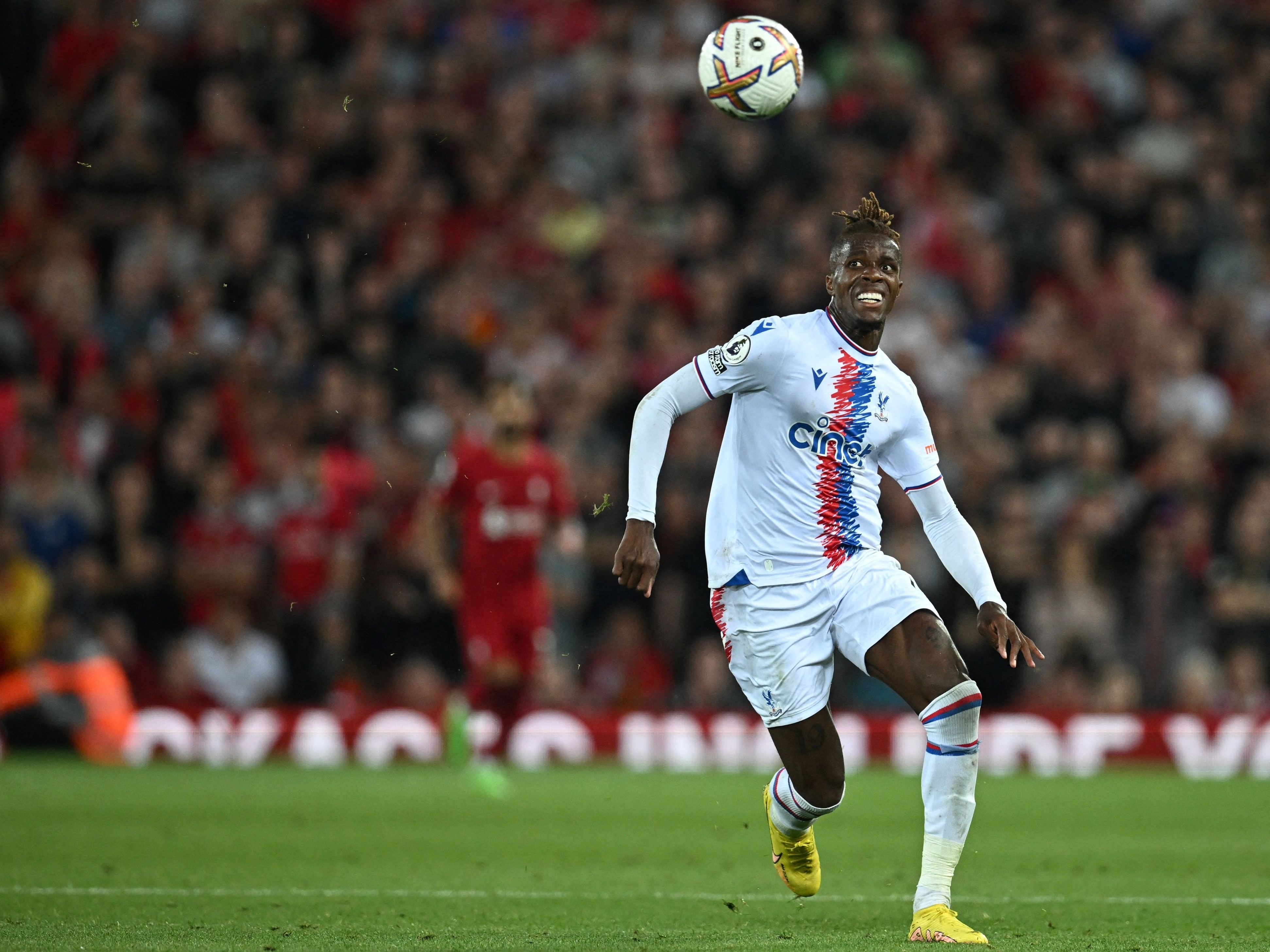 Striker Crystal Palace Pantai Gading, Wilfried Zaha.