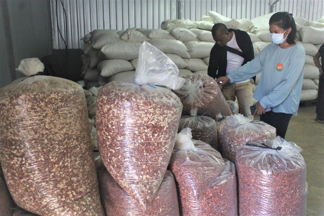 Petugas melihat kacang lurik asal NTT yang akan diekspor ke Jerman.