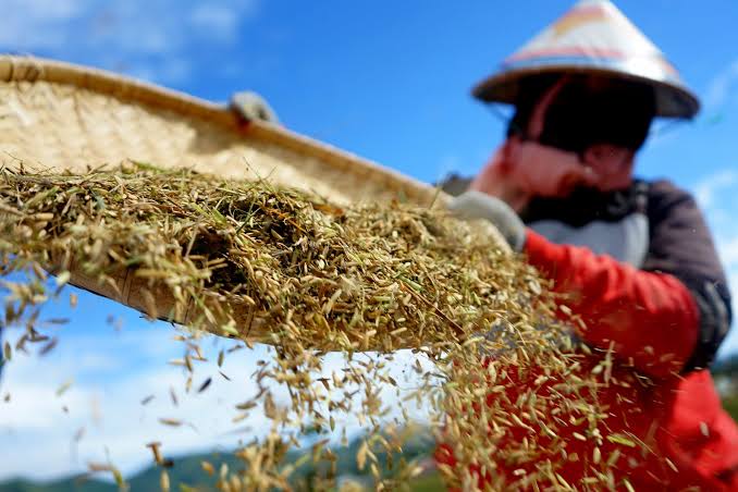 Pemerintah Siapkan Langkah Hadapi Gejolak Pangan