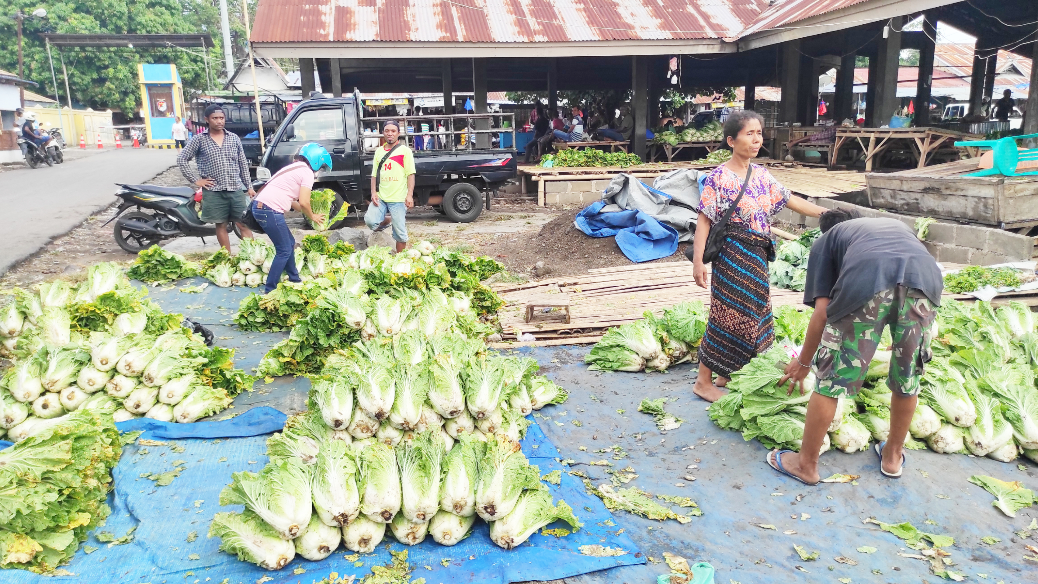 Para pedagang sayur asal Kabupaten Ende menjual sayurnya di Pasar Alok, Kabupaten Sikka. 
