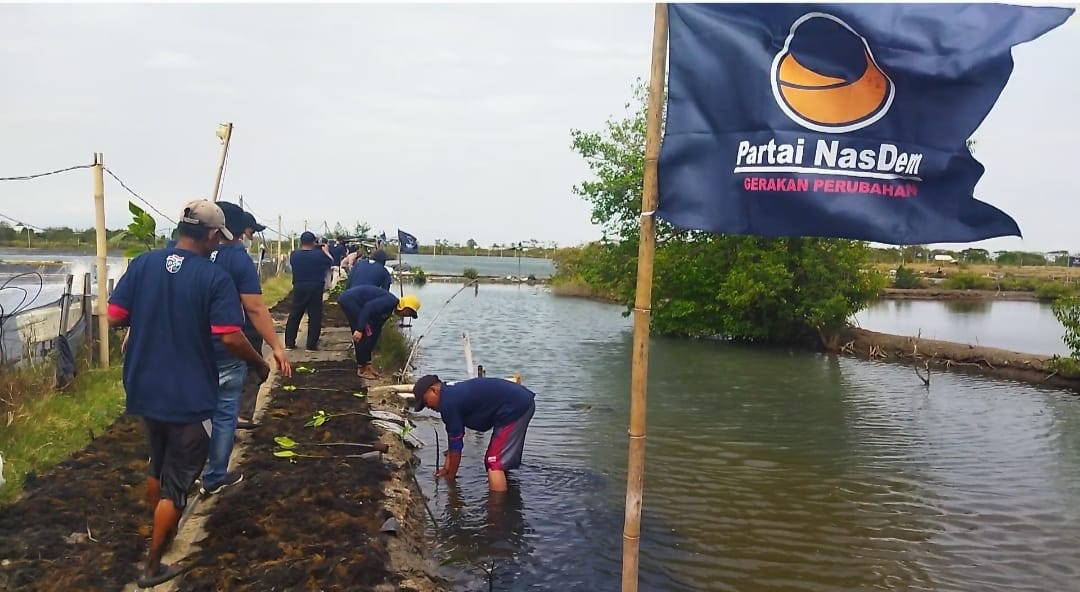 Kader dan simpatisan DPD Partai Nasdem Brebes tanam bibit pohon mangrove di areal pertambakaan Dukuh Sigempol, Desa Randusanga Kulon, Kecama