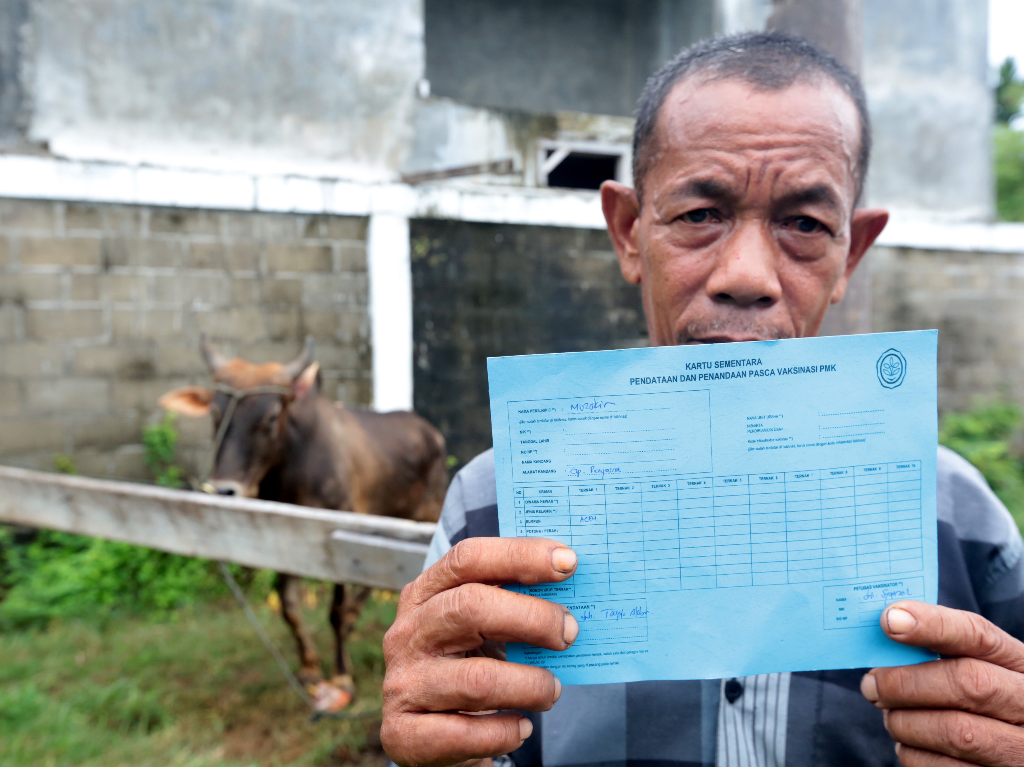 Warga memperlihatkan kartu tanda sapi telah divaksin PMK oleh petugas Satuan Tugas Penanganan Penyakit Mulut dan Kuku di Banda Aceh, Aceh.