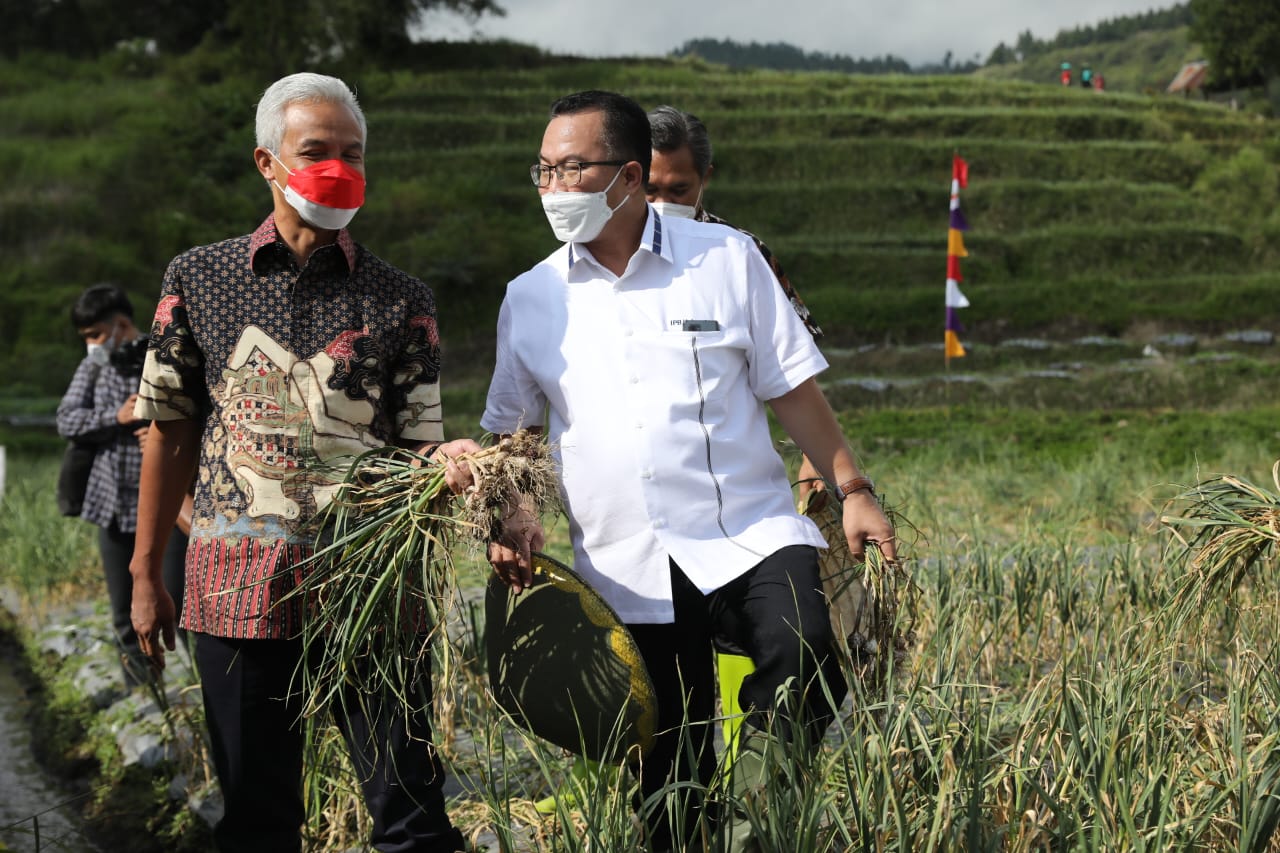 Gubernur Jawa Tengah Ganjar Pranowo menanam bawang putih di sela peresmian Learning Center Bawang Putih