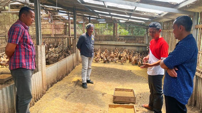 Direktur Polbangtan Malang, Setya Budhi Udrayana (ke-2 kiri) kunjungi peternak milenial Pacitan, Agus Rinoto (ke-2 kanan)