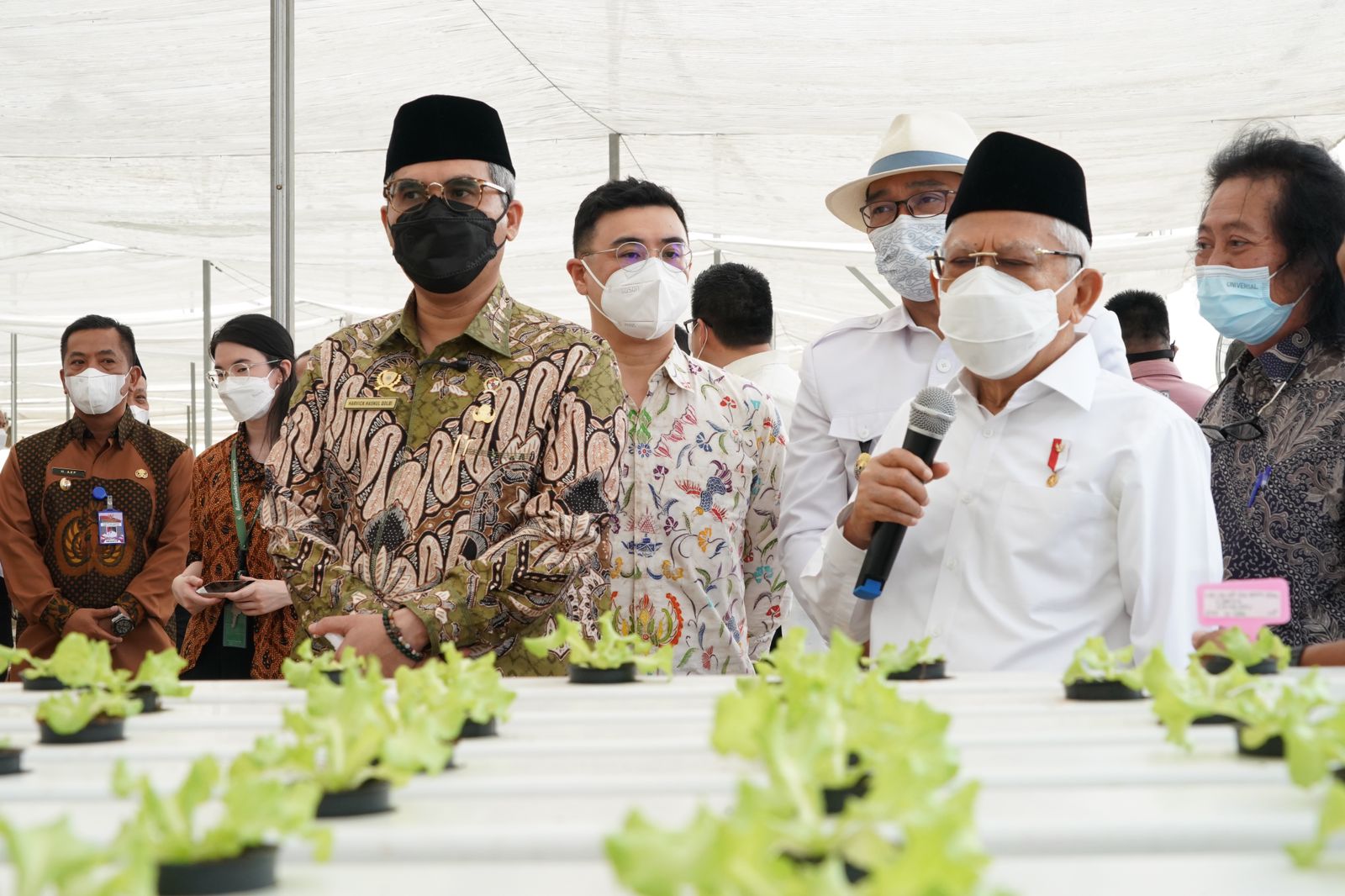 Wapres Ma'ruf AMin didampingi Wamentan Harvick Hasnul Qolbi meninjau Green Farm di Karawang