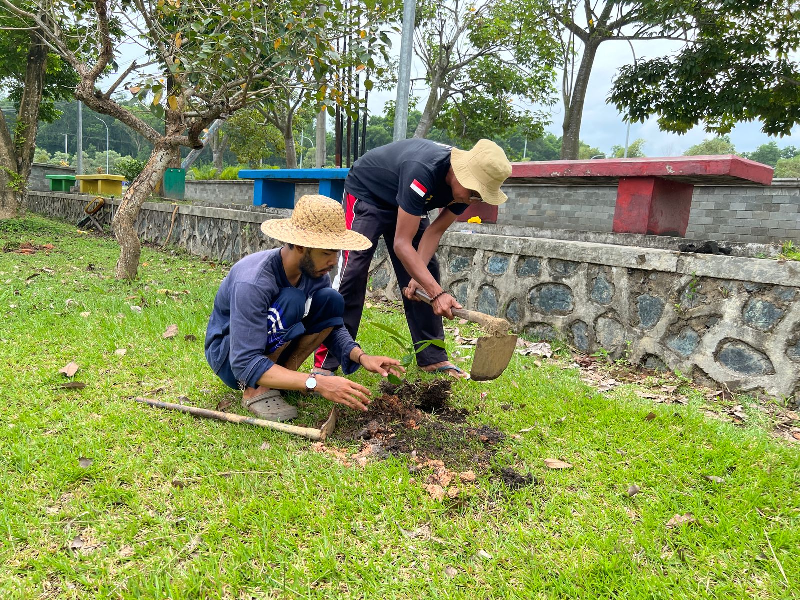 Kopi untuk Penghijauan dan Kesejahteraan di Kalsel