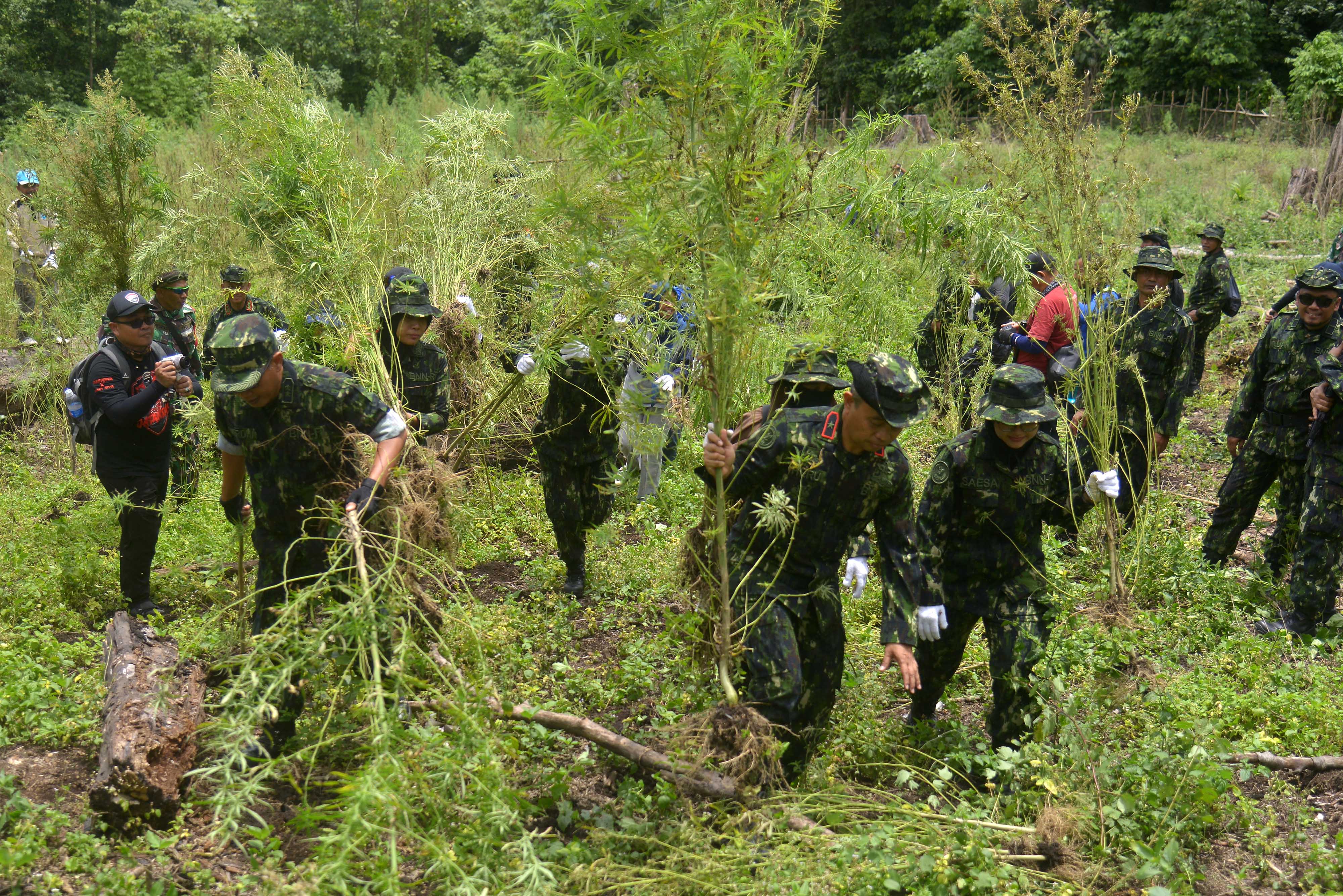Polres Jakbar Ungkap Penyelundupan 304 Kg Ganja dalam Truk Sayur