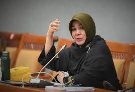 Anggota DPr Illiza Sa'addudin Djamal