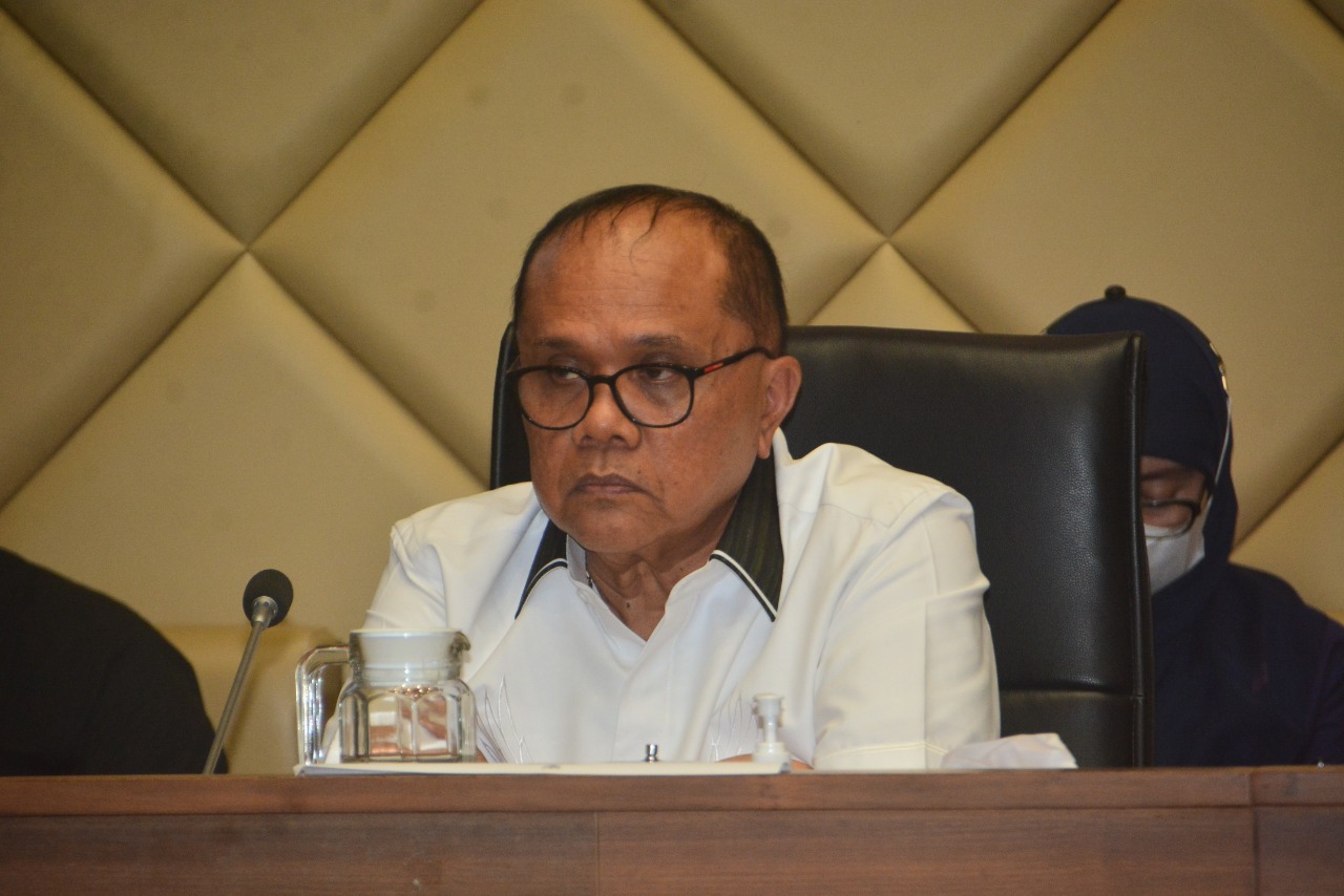 Wakil Ketua Komisi II DPR RI Junimart Girsang