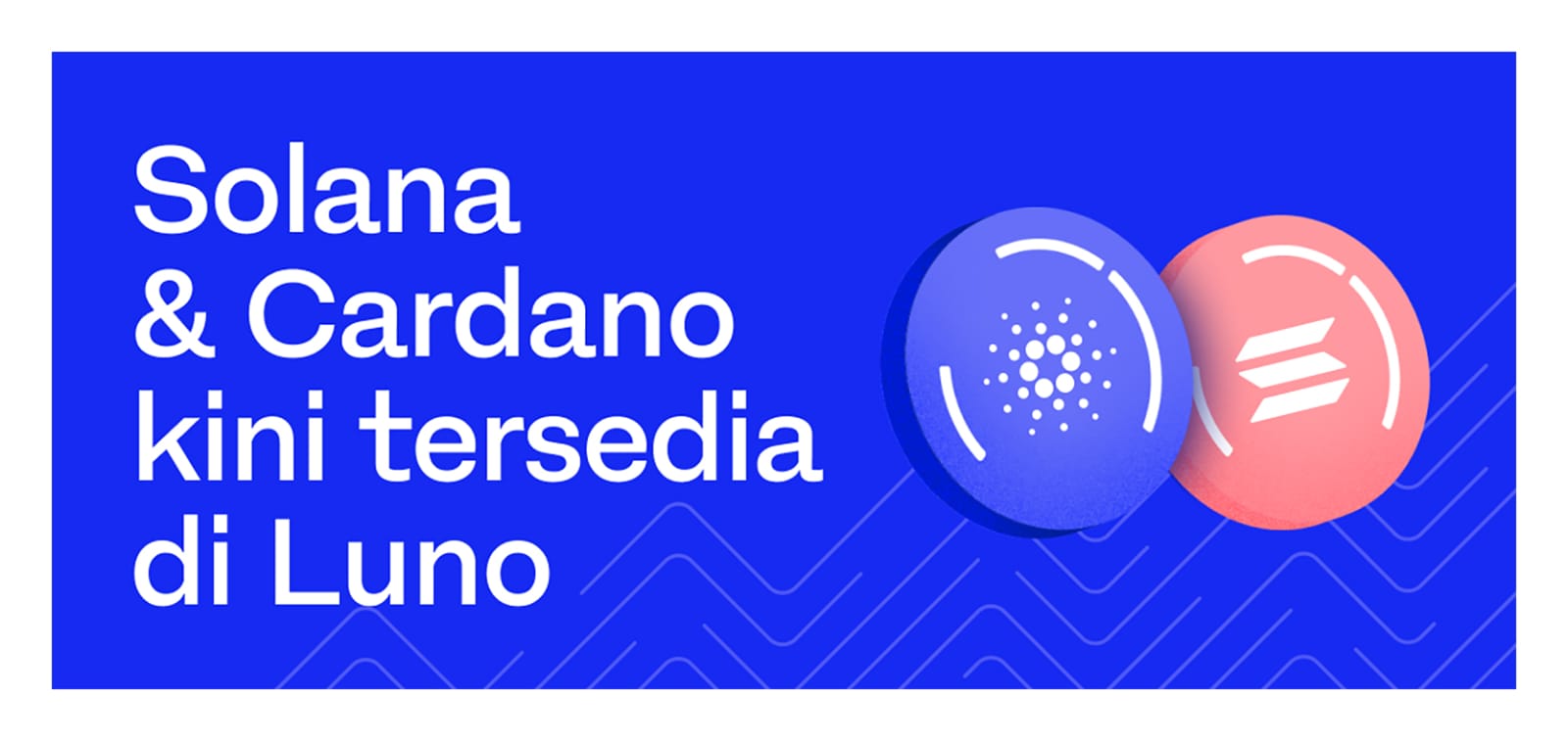 Pleuncuran Solanda dan Cardano