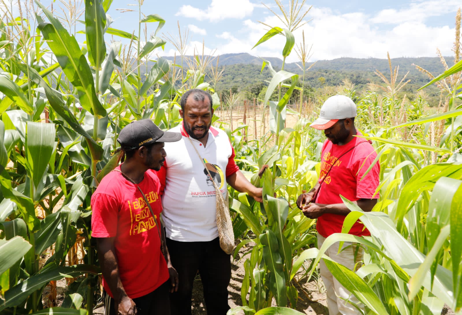 Pemberdayaan masyarakat Papua oleh Papua Muda Inspiratif untuk bekerja di lahan jagung yang terletak di Kampung Sitori, Distrik Kebar Timur,