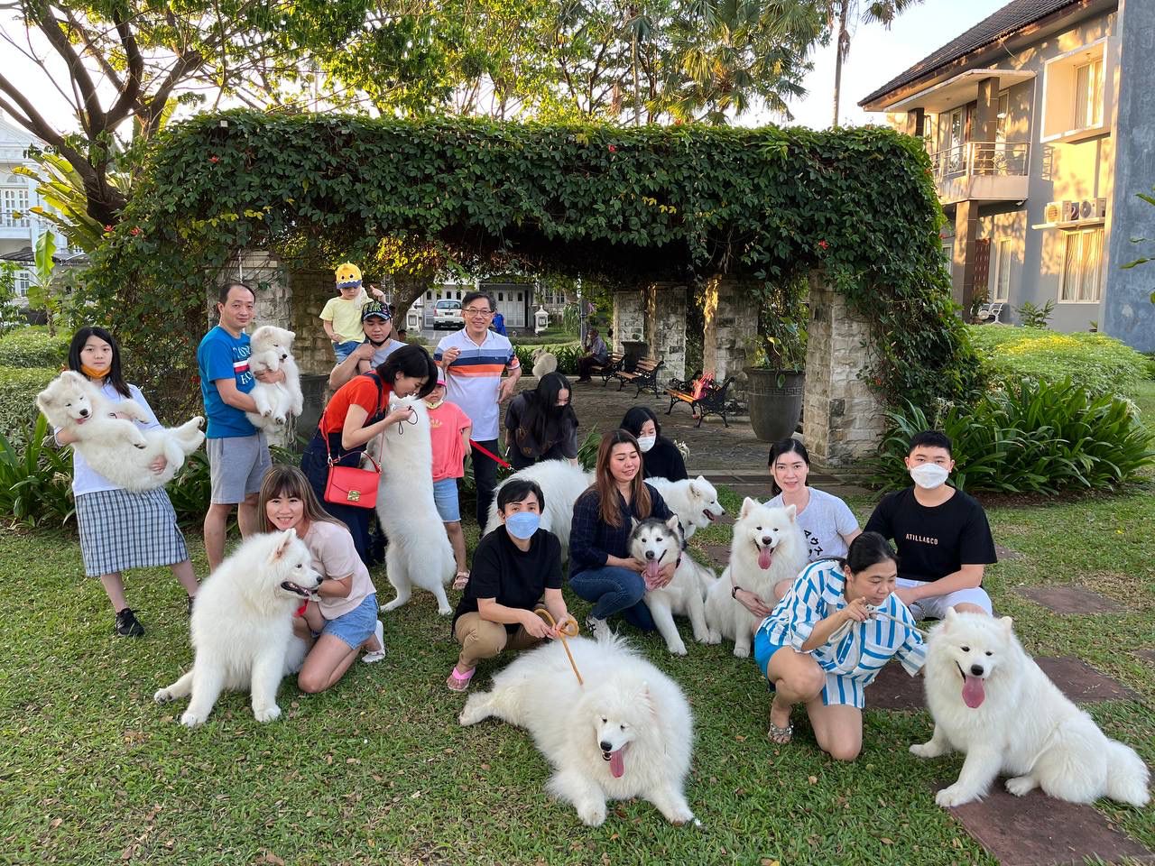 Ilustrasi anjing peliharaan