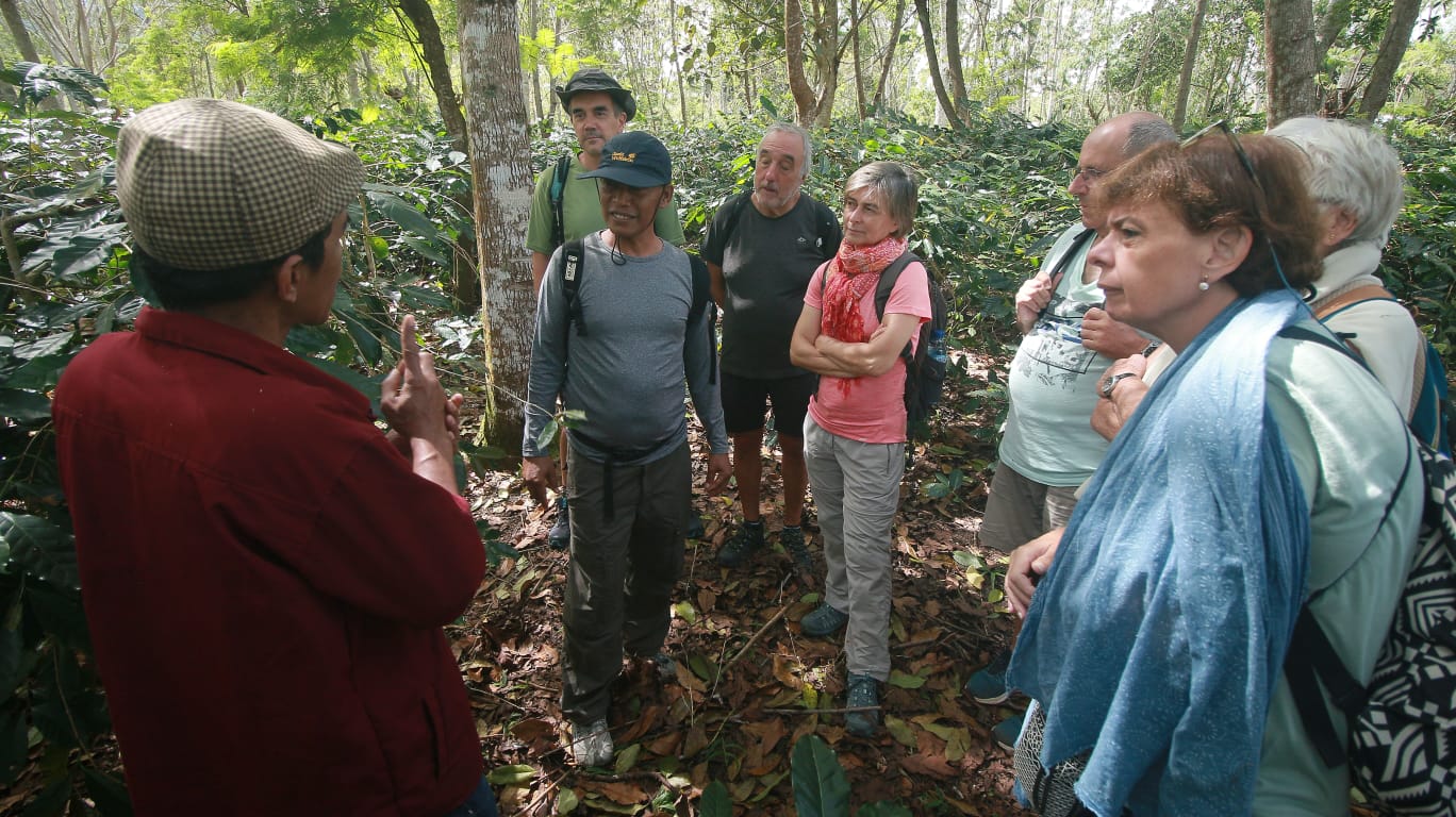 Sejumlah wisatawan asing mendengarkan pemaparan langsung dari petani kopi Bajawa di Kabupaten Ngada, NTT, Kamis (22/9).