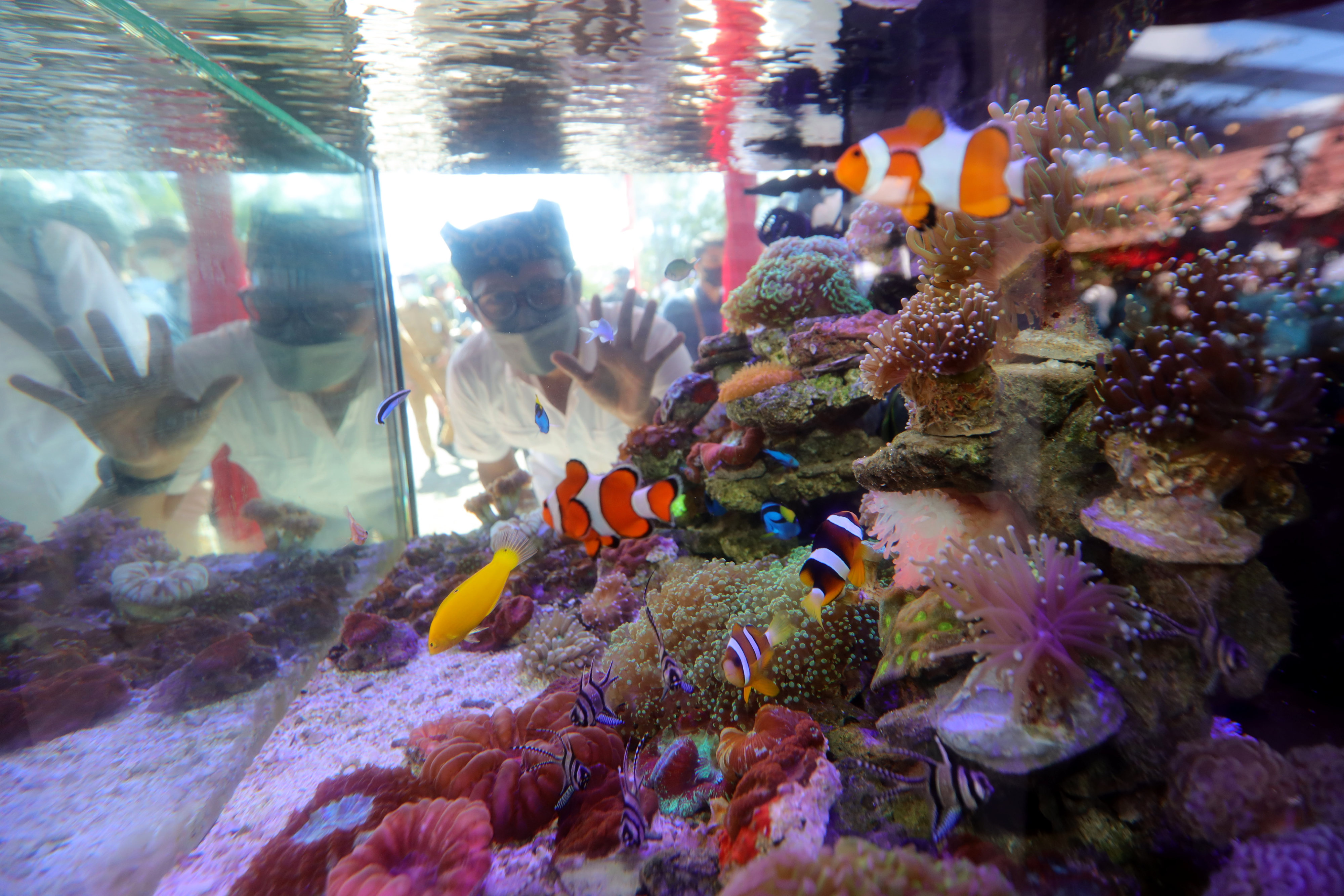 Pengunjung melihat produk aquascape pada acara Fish Market Festival 2022 di Kampung Mandar, Banyuwangi, Jawa Timur.