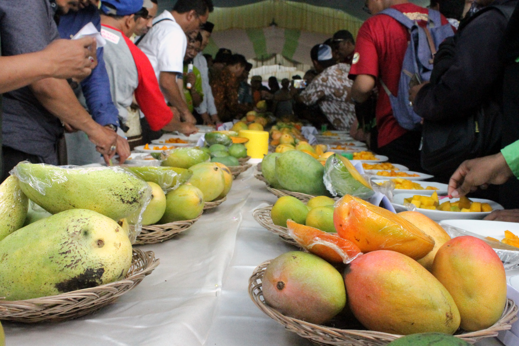 Ilustrasi buah mangga